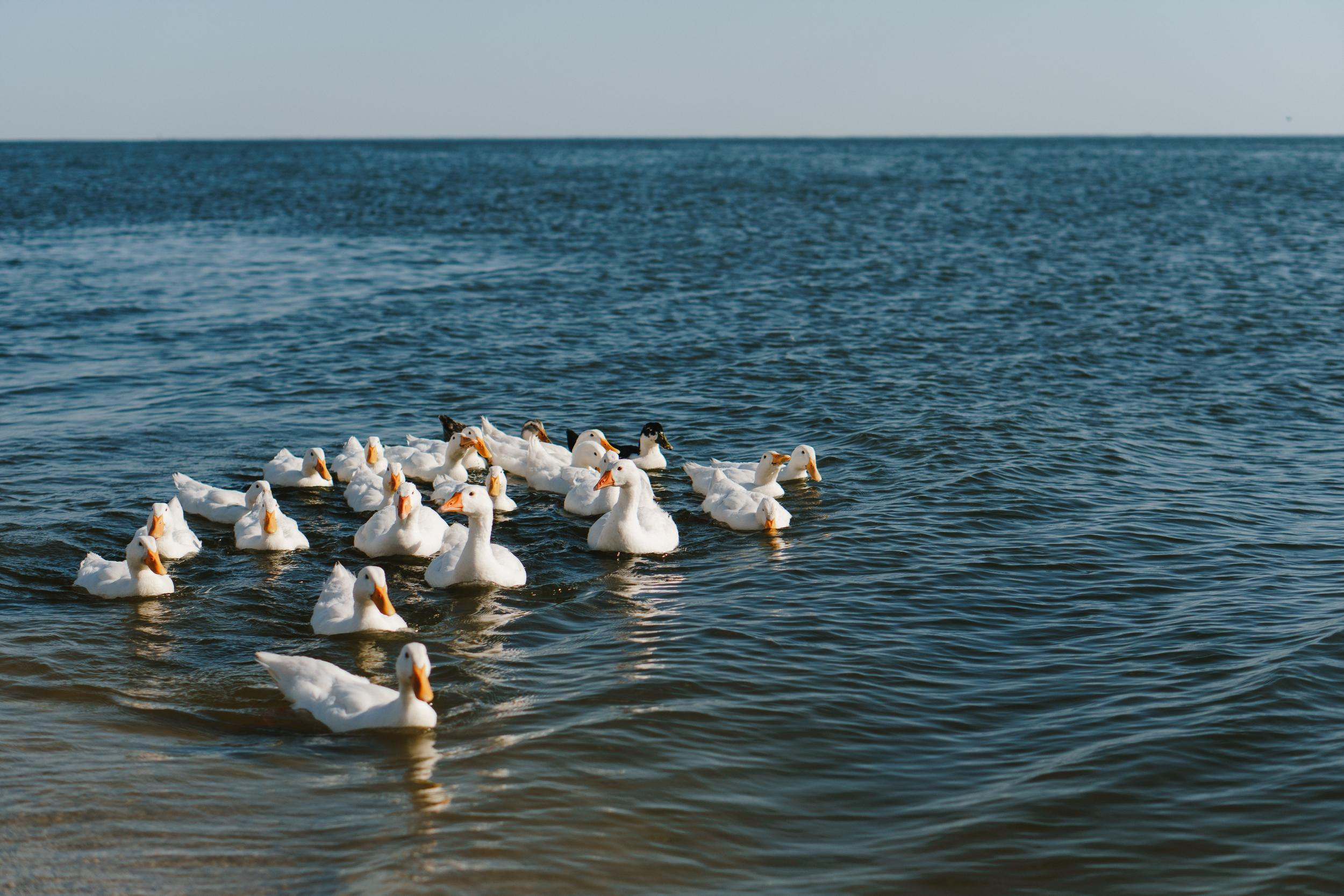 Стук Travel. Херсонский гранд-каньйон. Foto • Video • Produktion • Luftbildaufnahmen • Erstellung von Medien