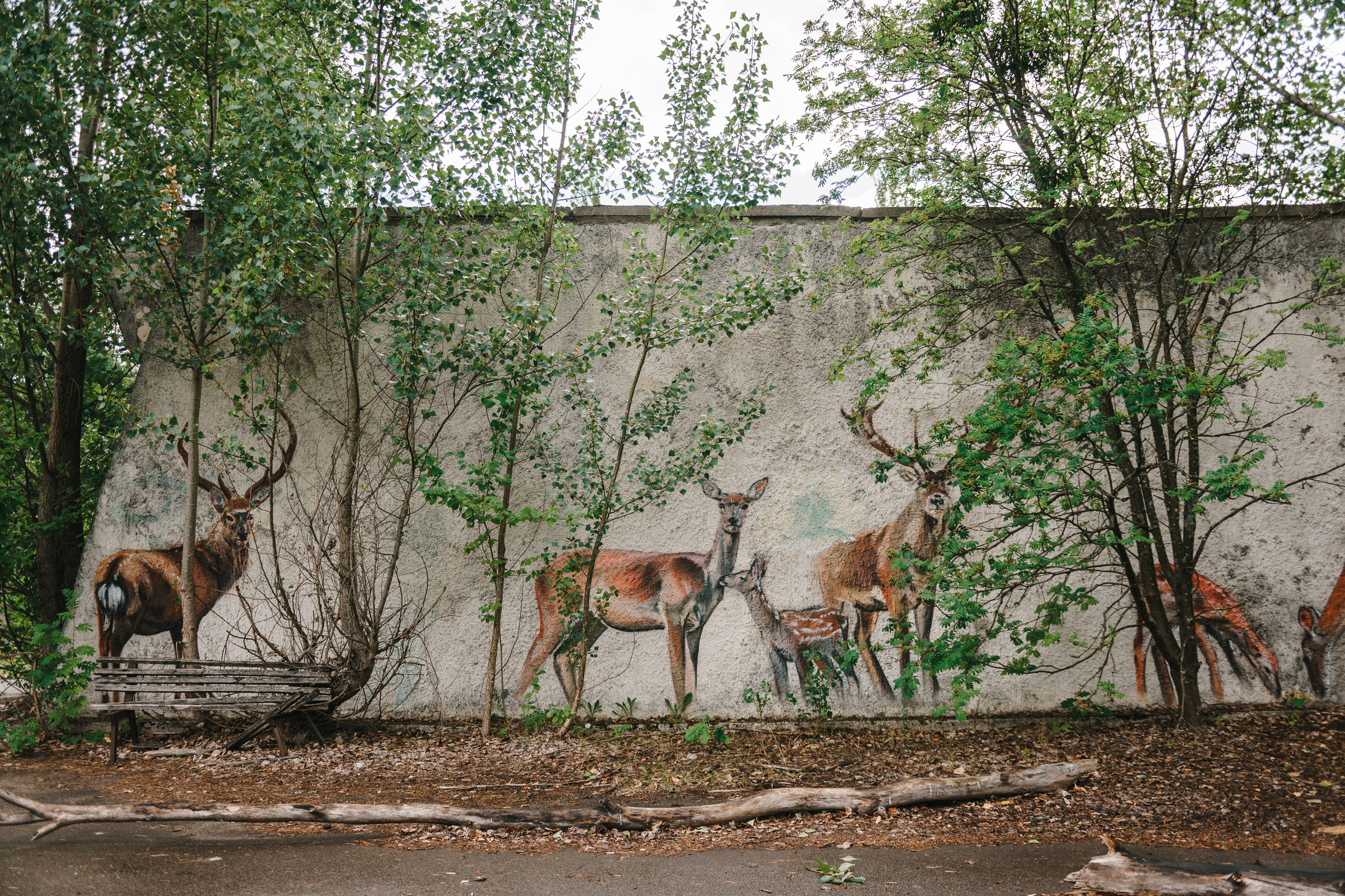 Стук Travel. Чернобыль. Фото • Видео • Аэросъемка • Контент для бизнеса