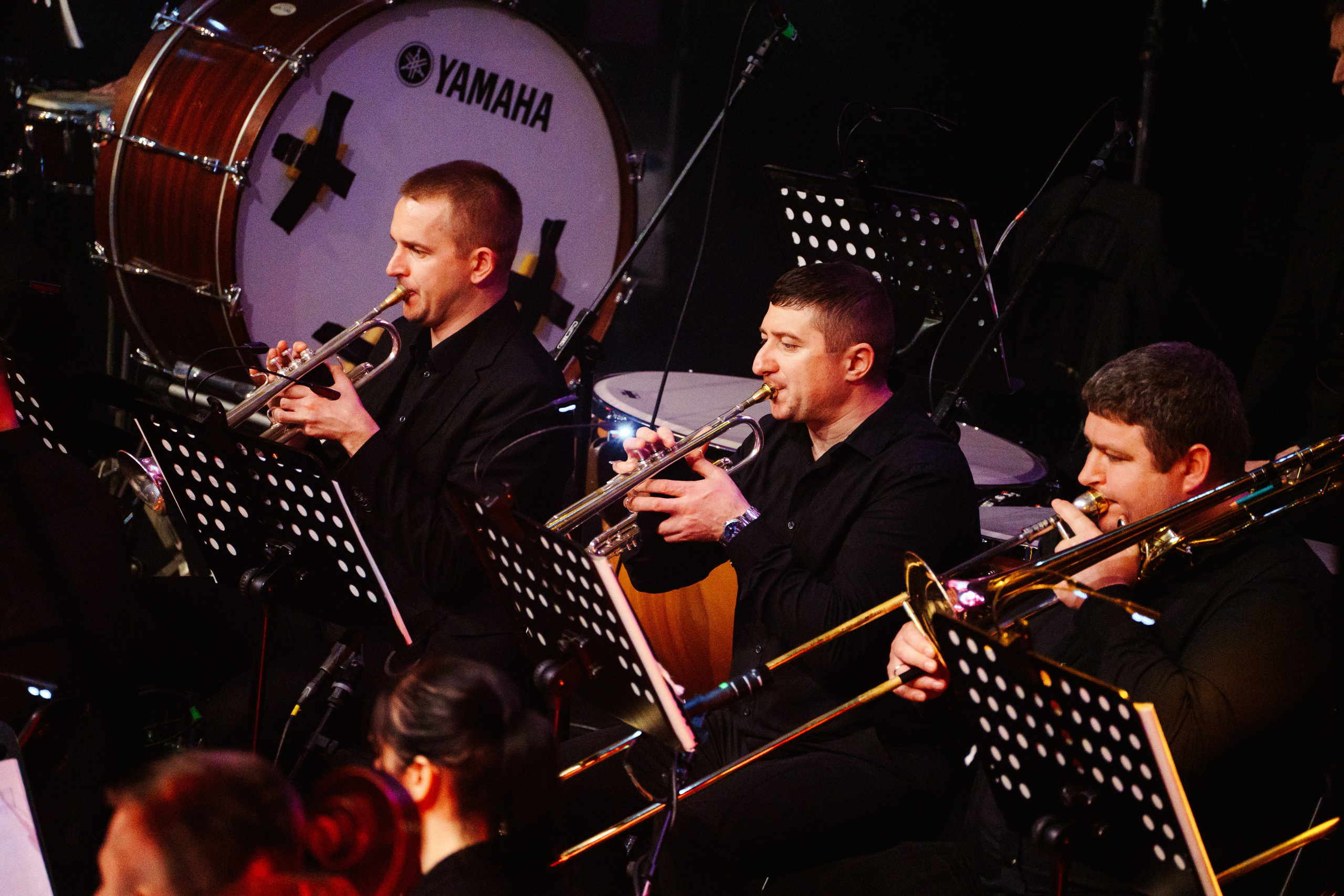 The Lord of the Rings & The Hobbit in Concert. Foto • Video • Produktion • Luftbildaufnahmen • Erstellung von Medien