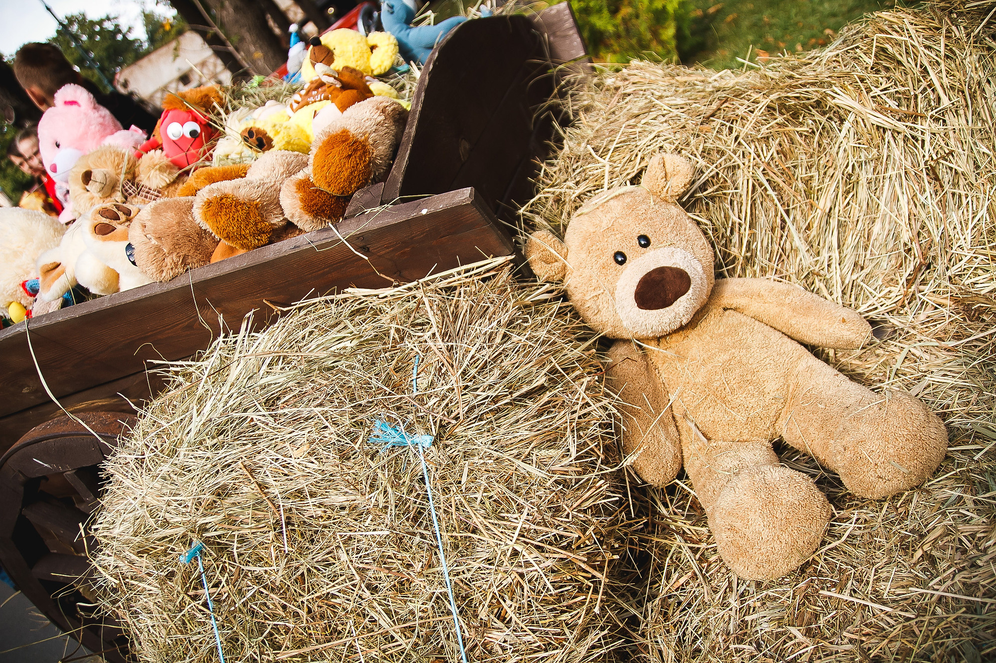 Парад игрушек в Центральном парке. Foto • Video • Produktion • Luftbildaufnahmen • Erstellung von Medien