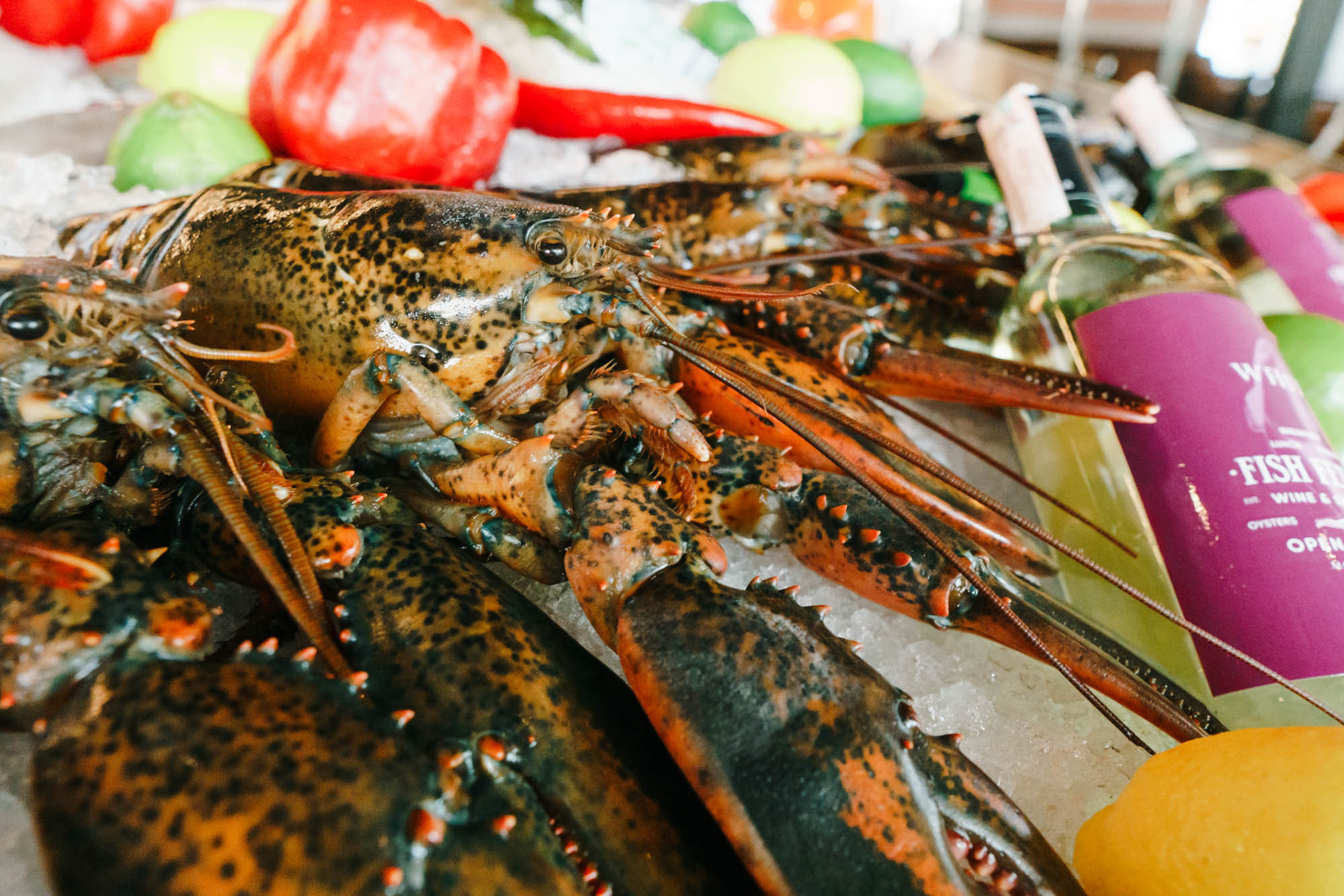 Fish Fetish. ТРЦ NIKOLSKY. Фото • Відео • Аерозйомка • Контент для бізнесу