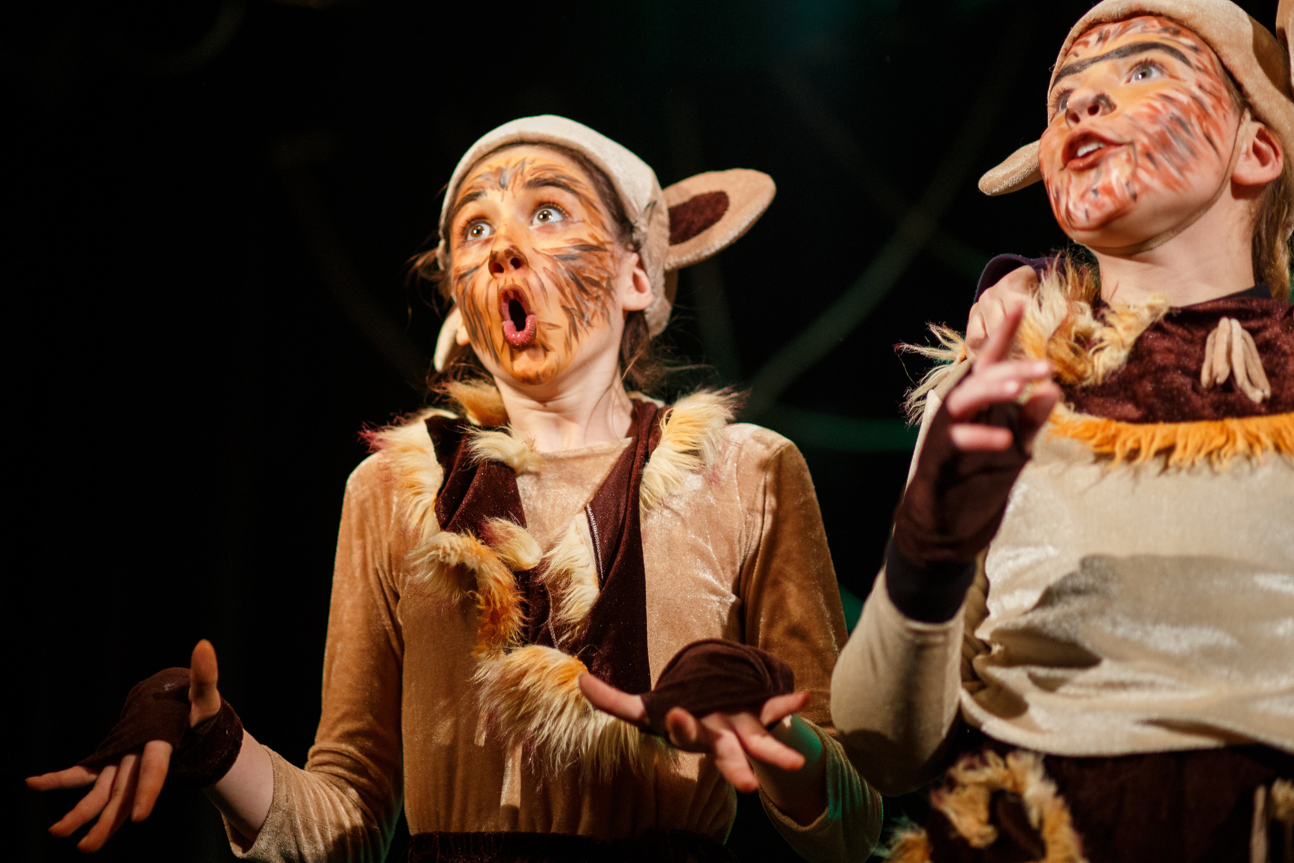 Театр «Сорванцы». Маугли. Photo • Video • Production • Aerial • Media Creation