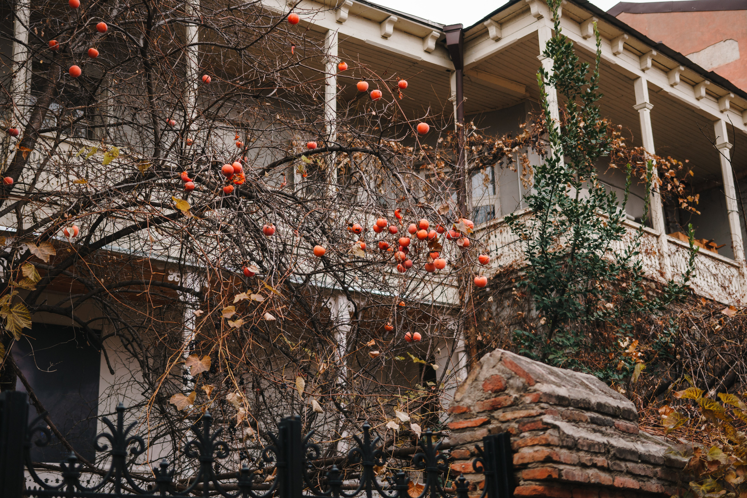 Стук Travel. Новый год в Грузии. Тбилиси, Боржоми. Photo • Video • Production • Aerial • Media Creation