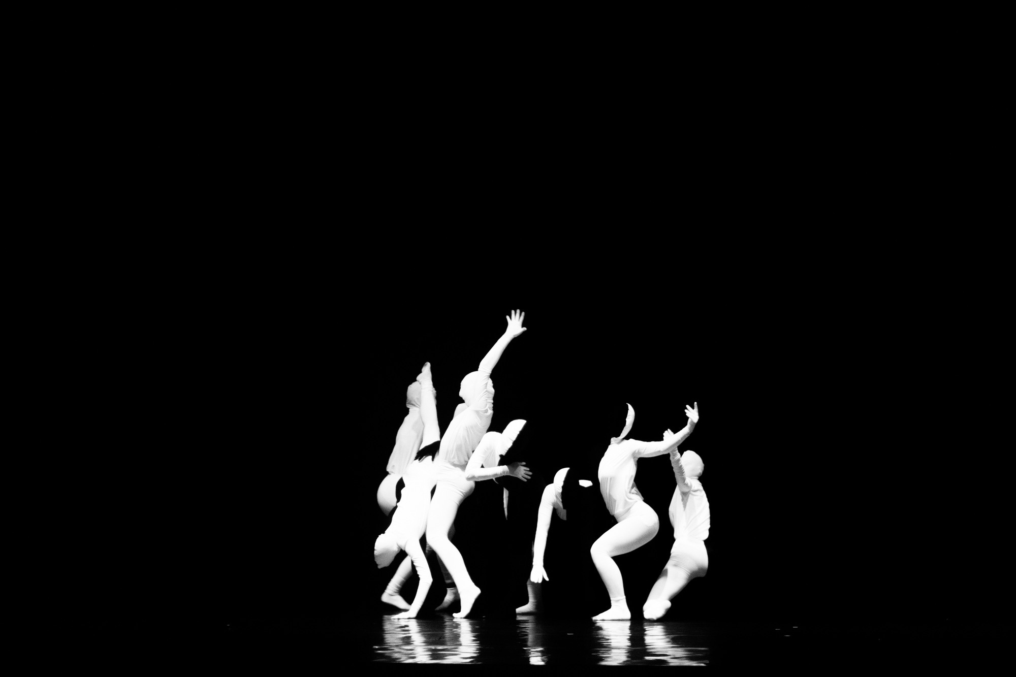 Лена Пуль. Алиса. Фото • Видео • Аэросъемка • Контент для бизнеса