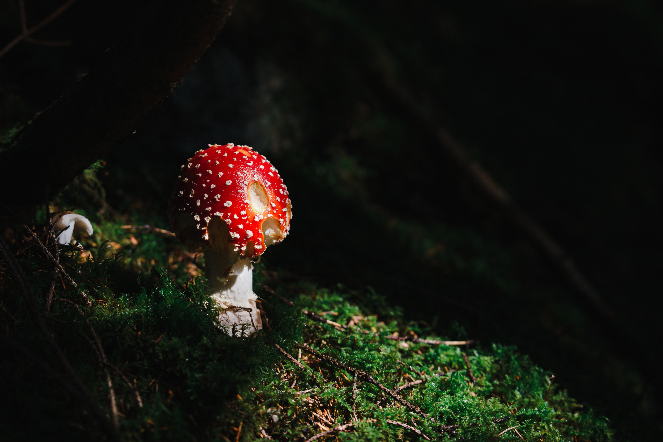 Стук Travel. Краков и Морське Око. Photo • Video • Production • Aerial • Media Creation