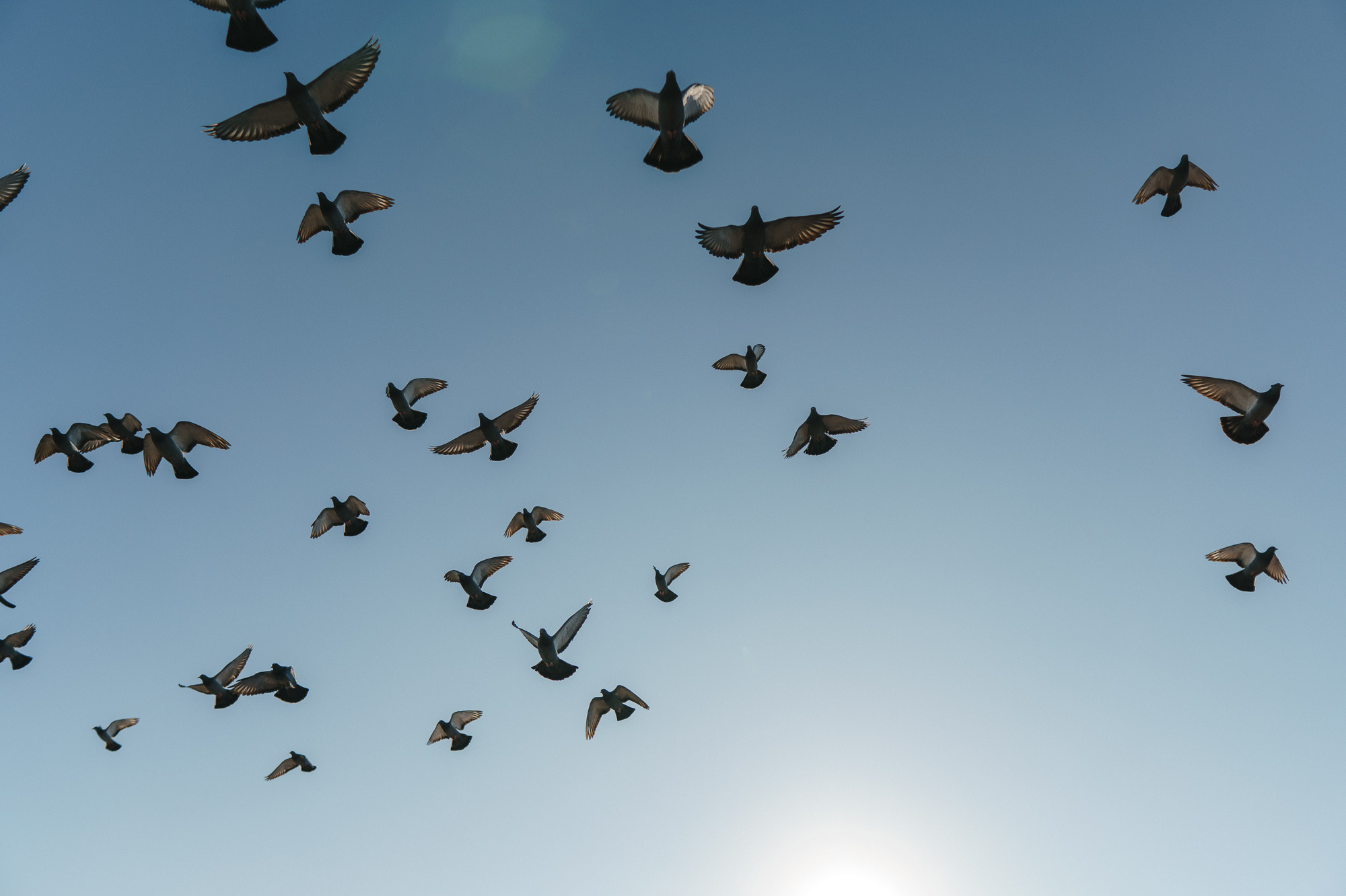 Стук Travel. Новый год в Каппадокии. Фото • Відео • Аерозйомка • Контент для бізнесу