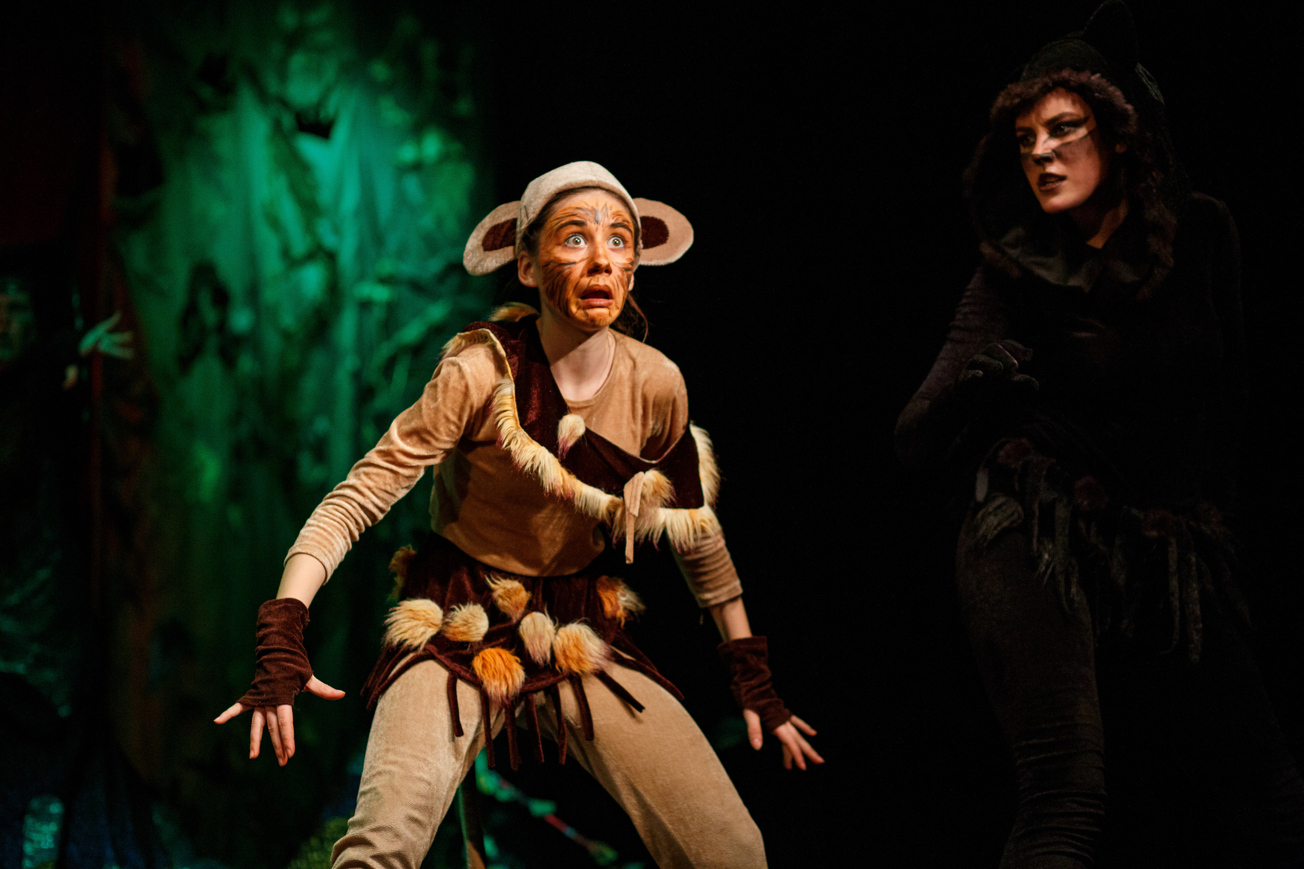 Театр «Сорванцы». Маугли. Photo • Video • Production • Aerial • Media Creation