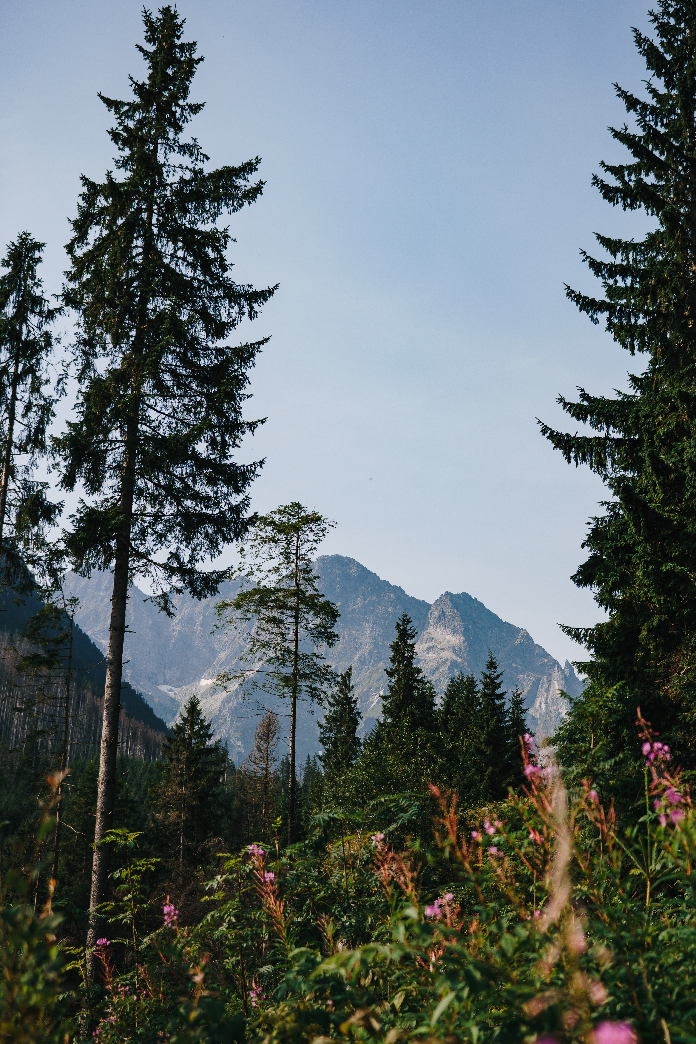 Стук Travel. Краков и Морське Око. Photo • Video • Production • Aerial • Media Creation