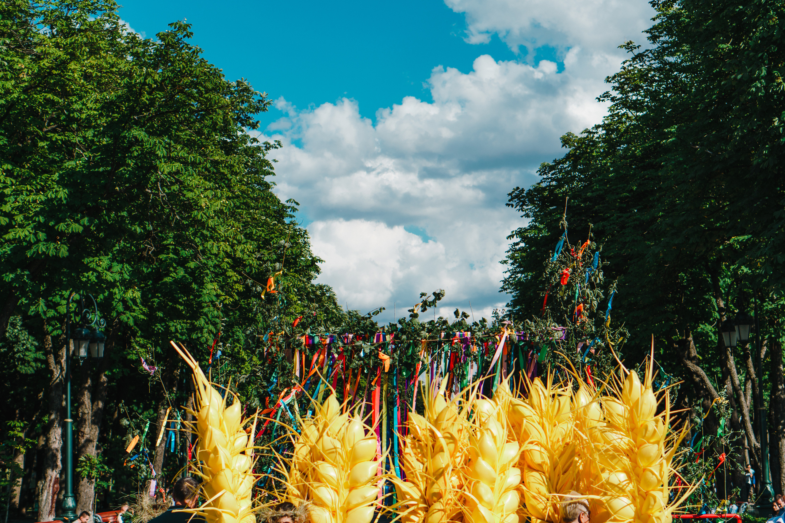 Ивана Купала в Центральном парке. Photo • Video • Production • Aerial • Media Creation