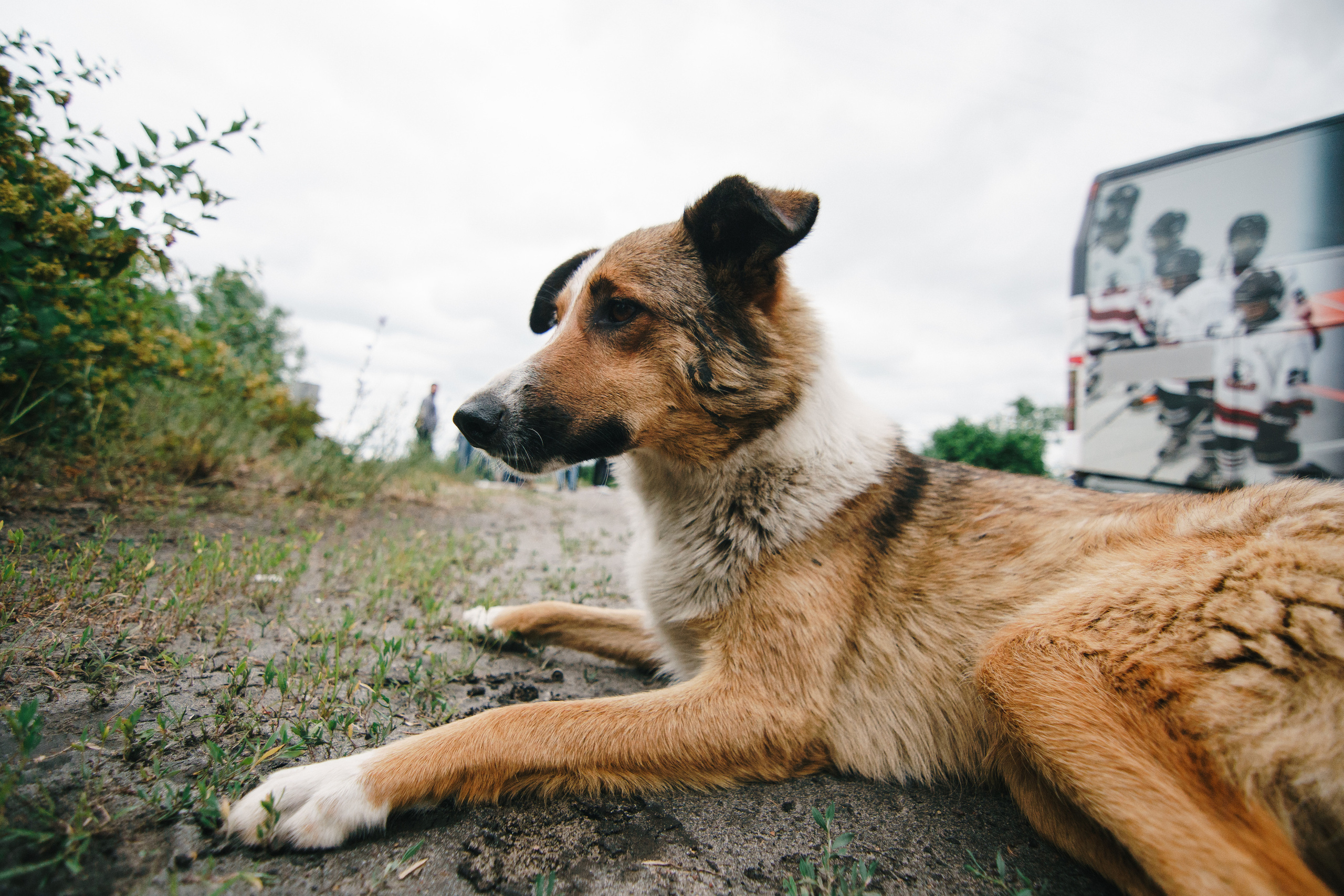 Стук Travel. Чернобыль. Фото • Видео • Аэросъемка • Контент для бизнеса