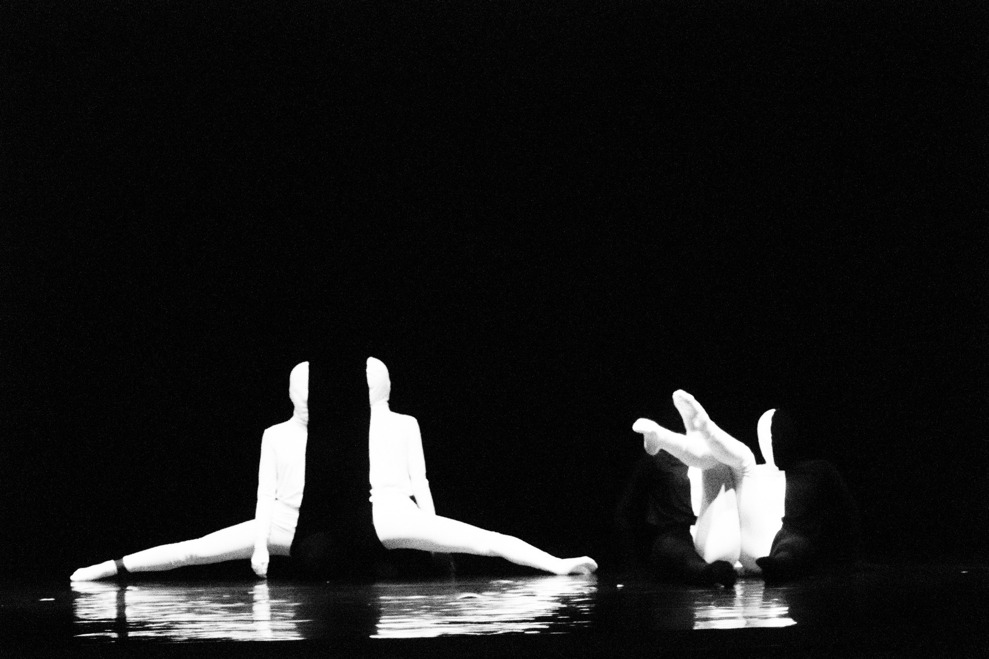 Лена Пуль. Алиса. Фото • Видео • Аэросъемка • Контент для бизнеса