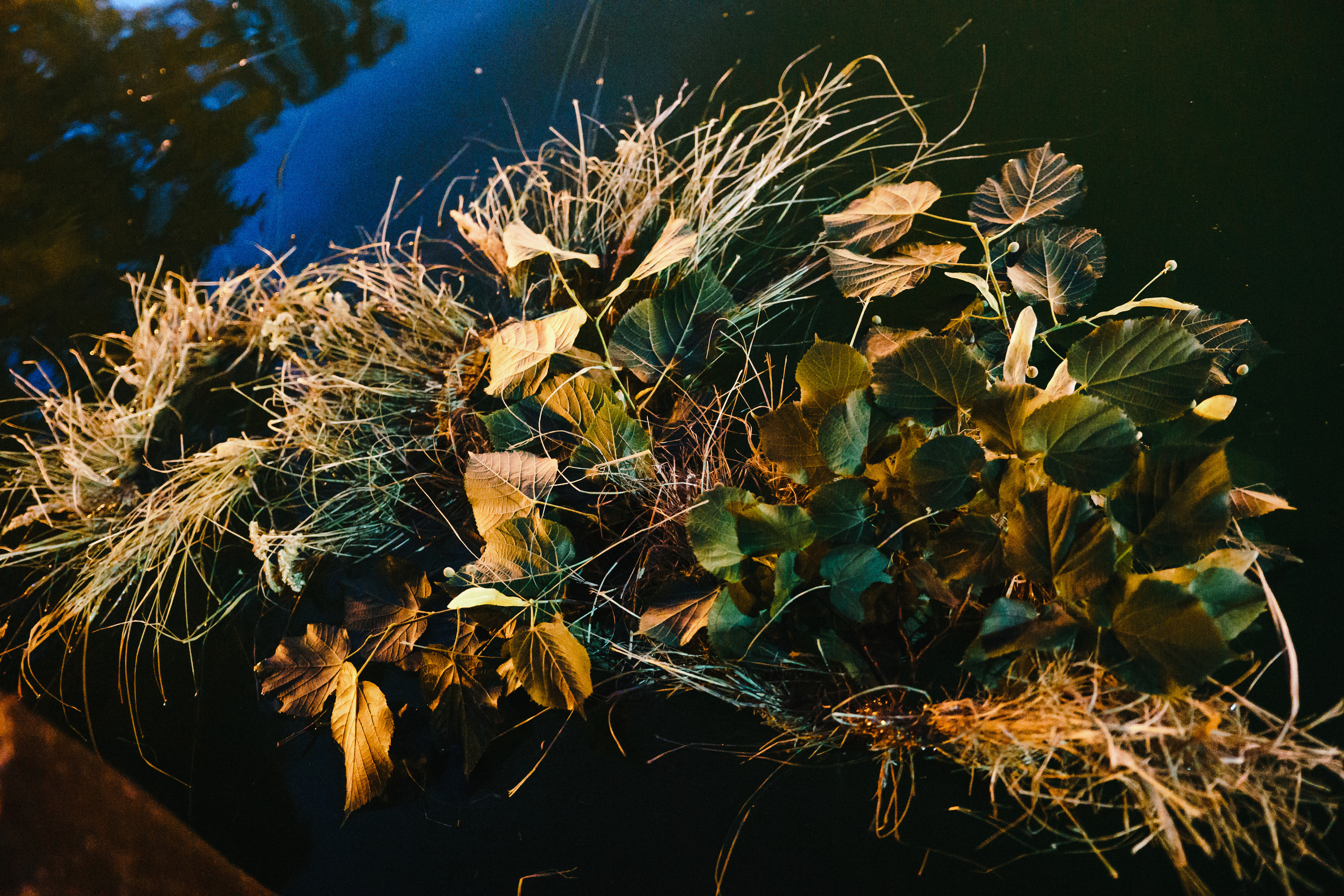 Ивана Купала в Центральном парке. Photo • Video • Production • Aerial • Media Creation