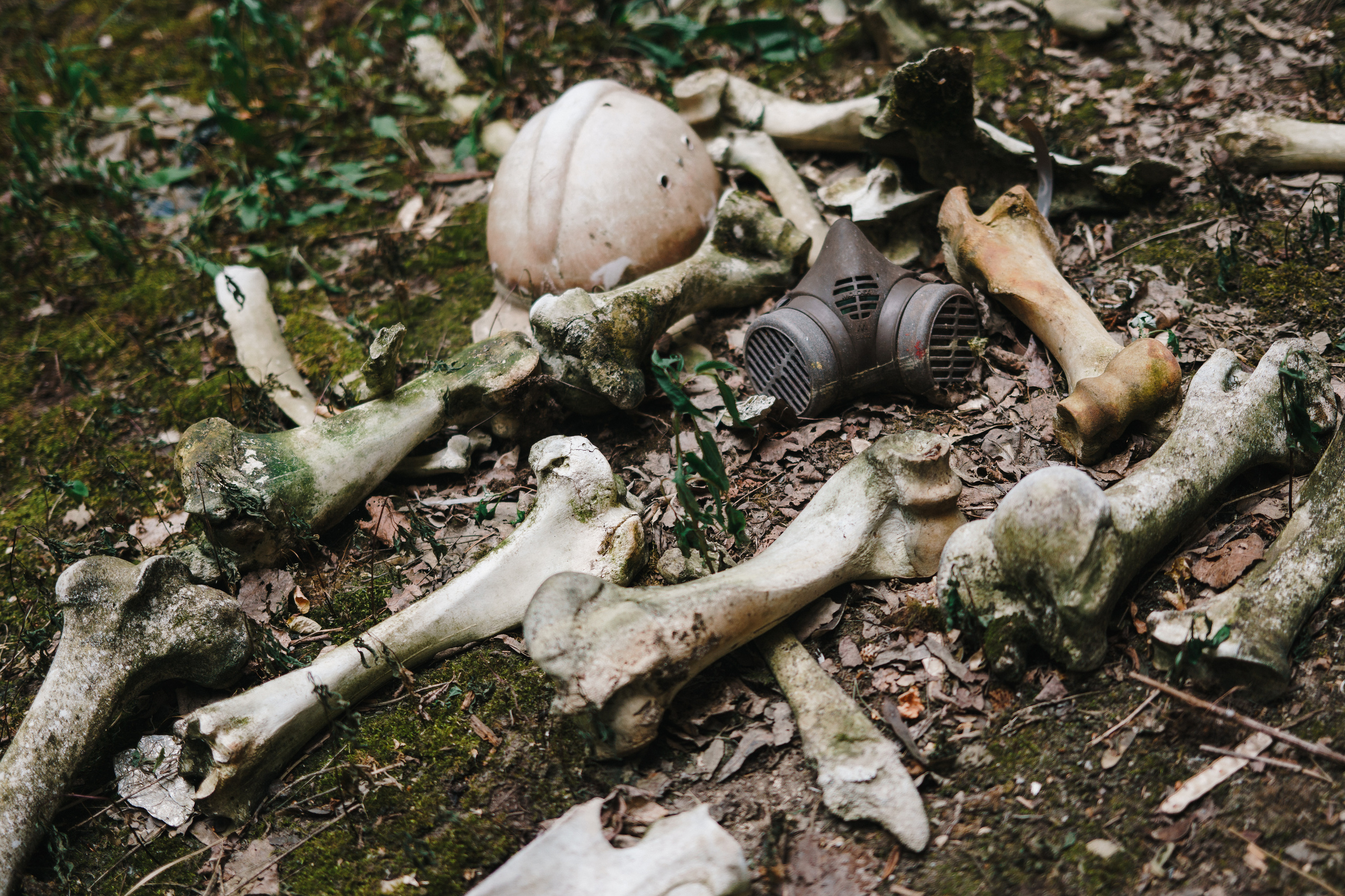 Стук Travel. Чернобыль. Фото • Видео • Аэросъемка • Контент для бизнеса