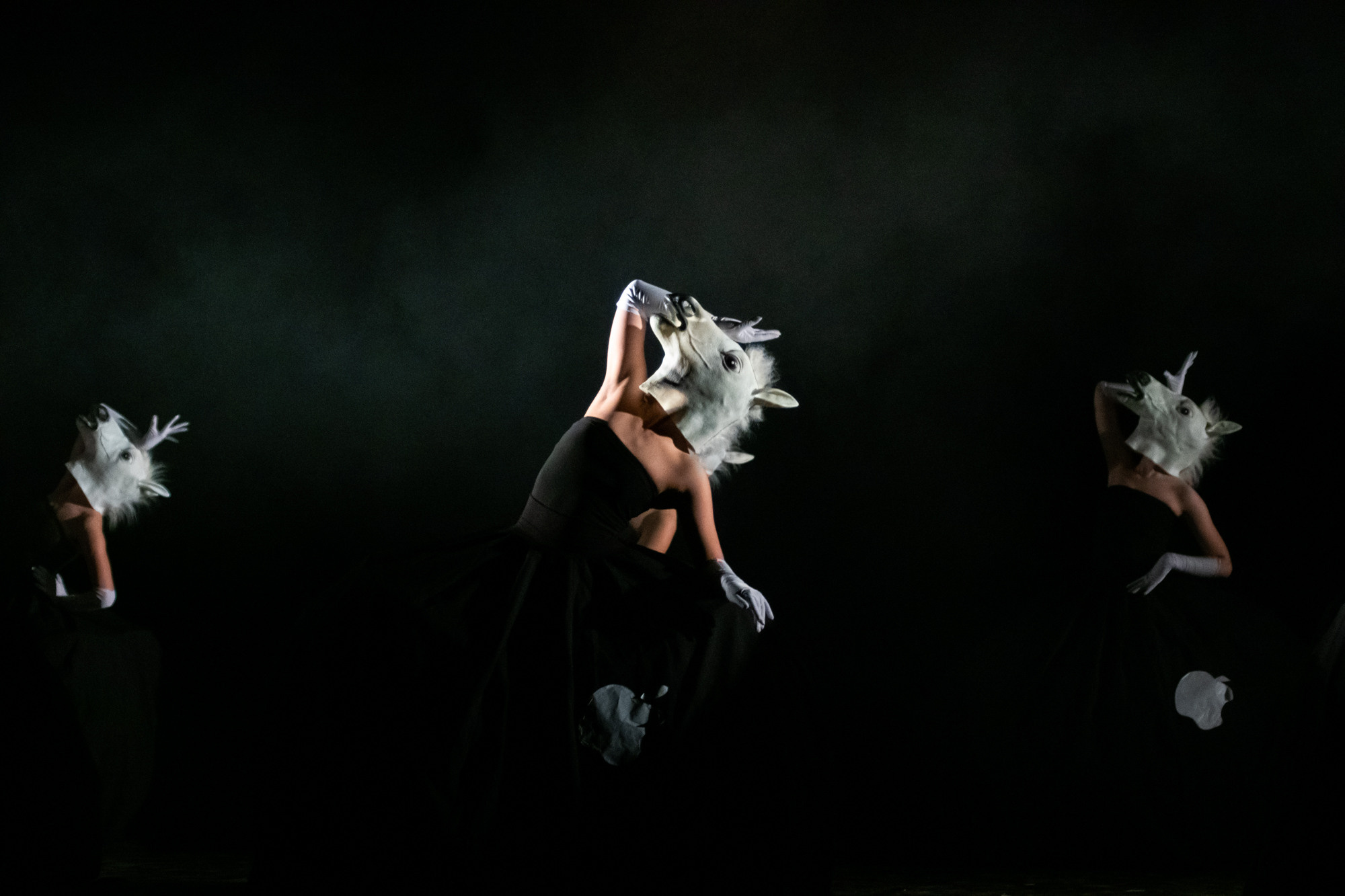 Лена Пуль. Алиса. Фото • Видео • Аэросъемка • Контент для бизнеса