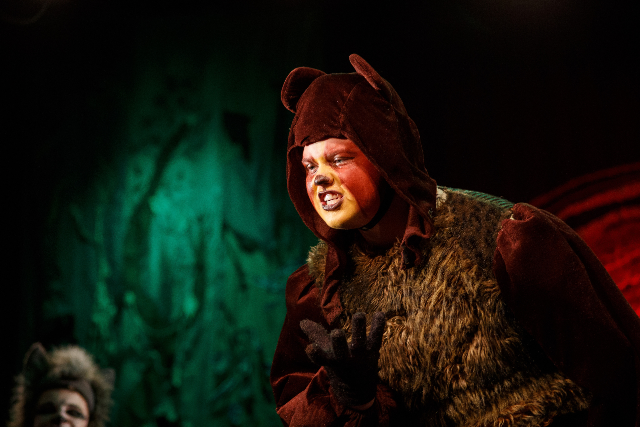 Театр «Сорванцы». Маугли. Photo • Video • Production • Aerial • Media Creation