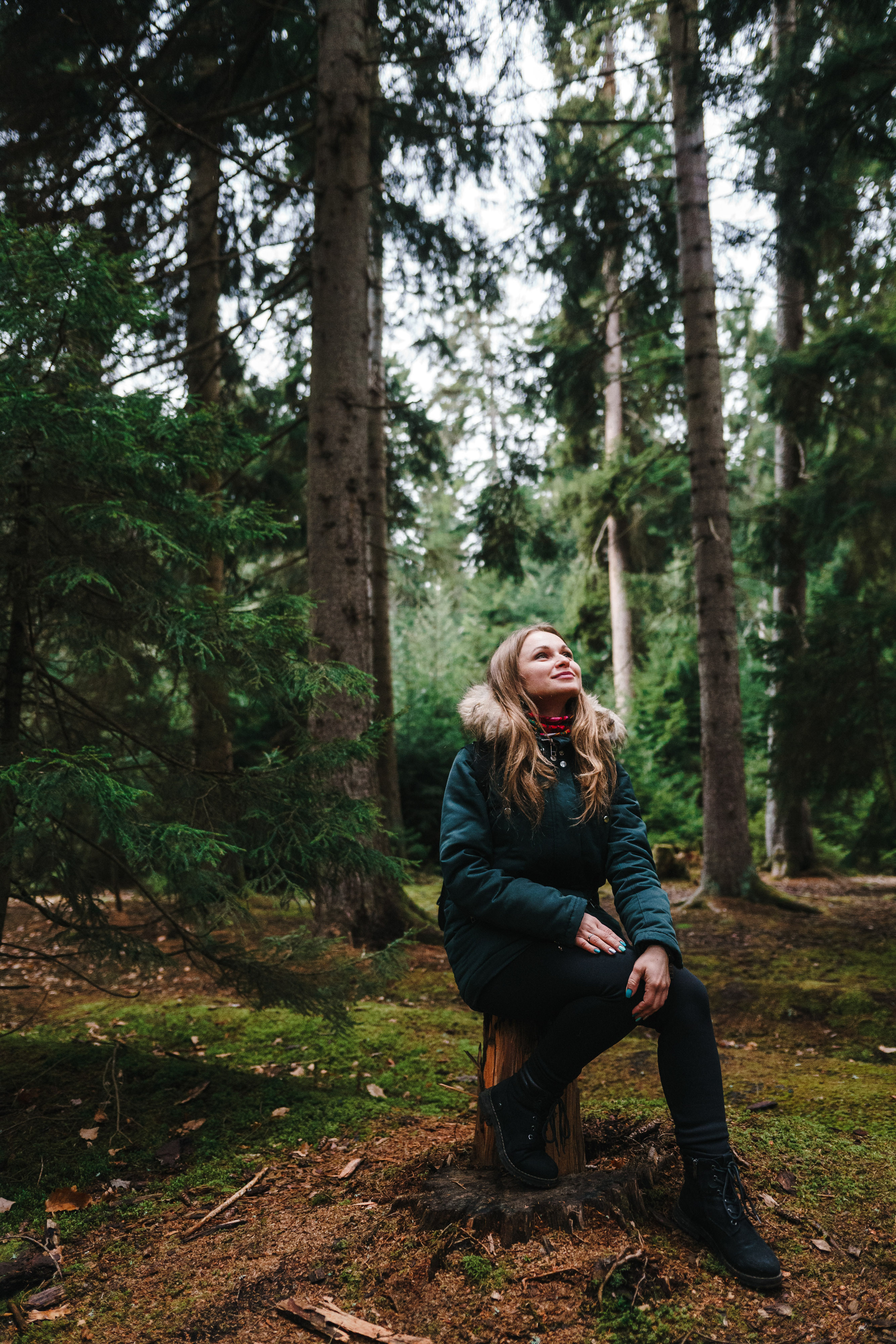 Стук Travel. Новый год в Грузии. Тбилиси, Боржоми. Photo • Video • Production • Aerial • Media Creation