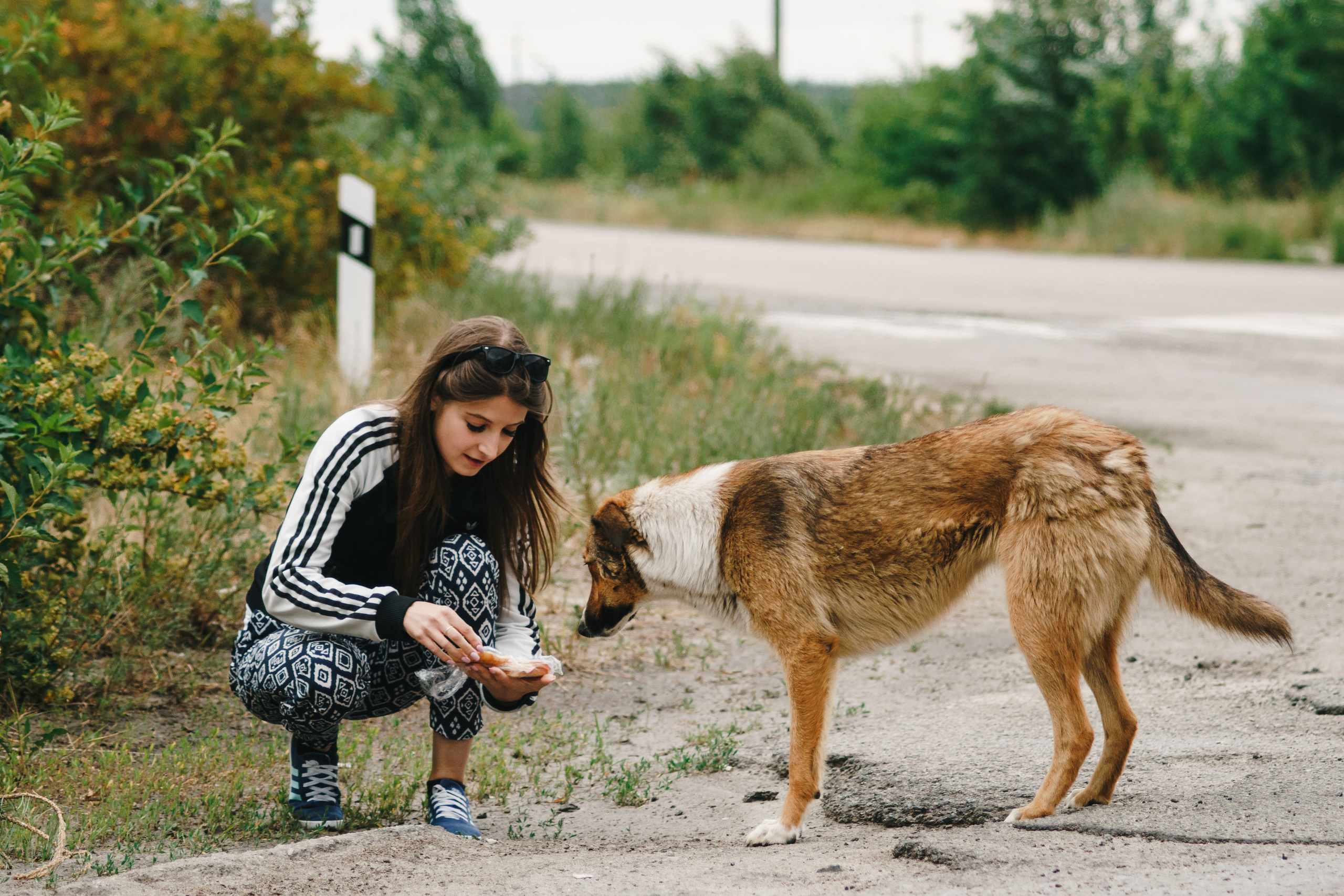 Стук Travel. Чернобыль. Фото • Видео • Аэросъемка • Контент для бизнеса