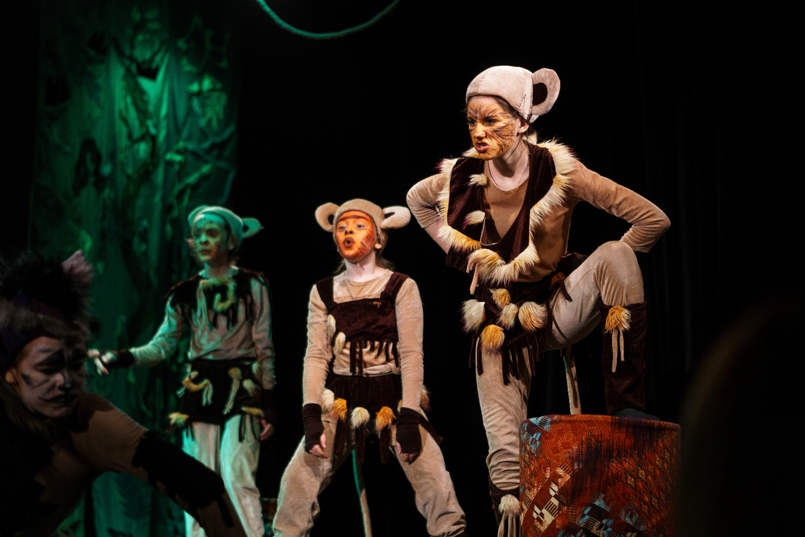 Театр «Сорванцы». Маугли. Photo • Video • Production • Aerial • Media Creation