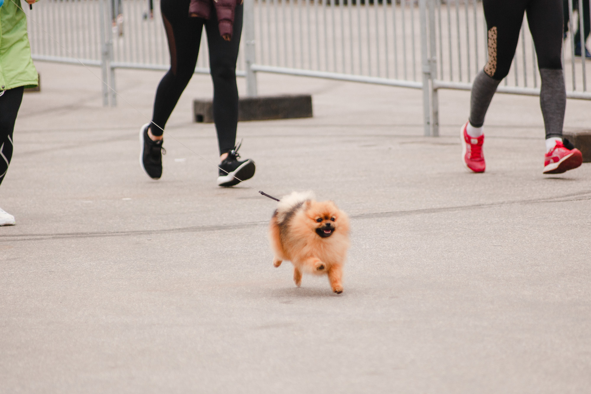 Жилстрой Марафон. Фото • Відео • Аерозйомка • Контент для бізнесу