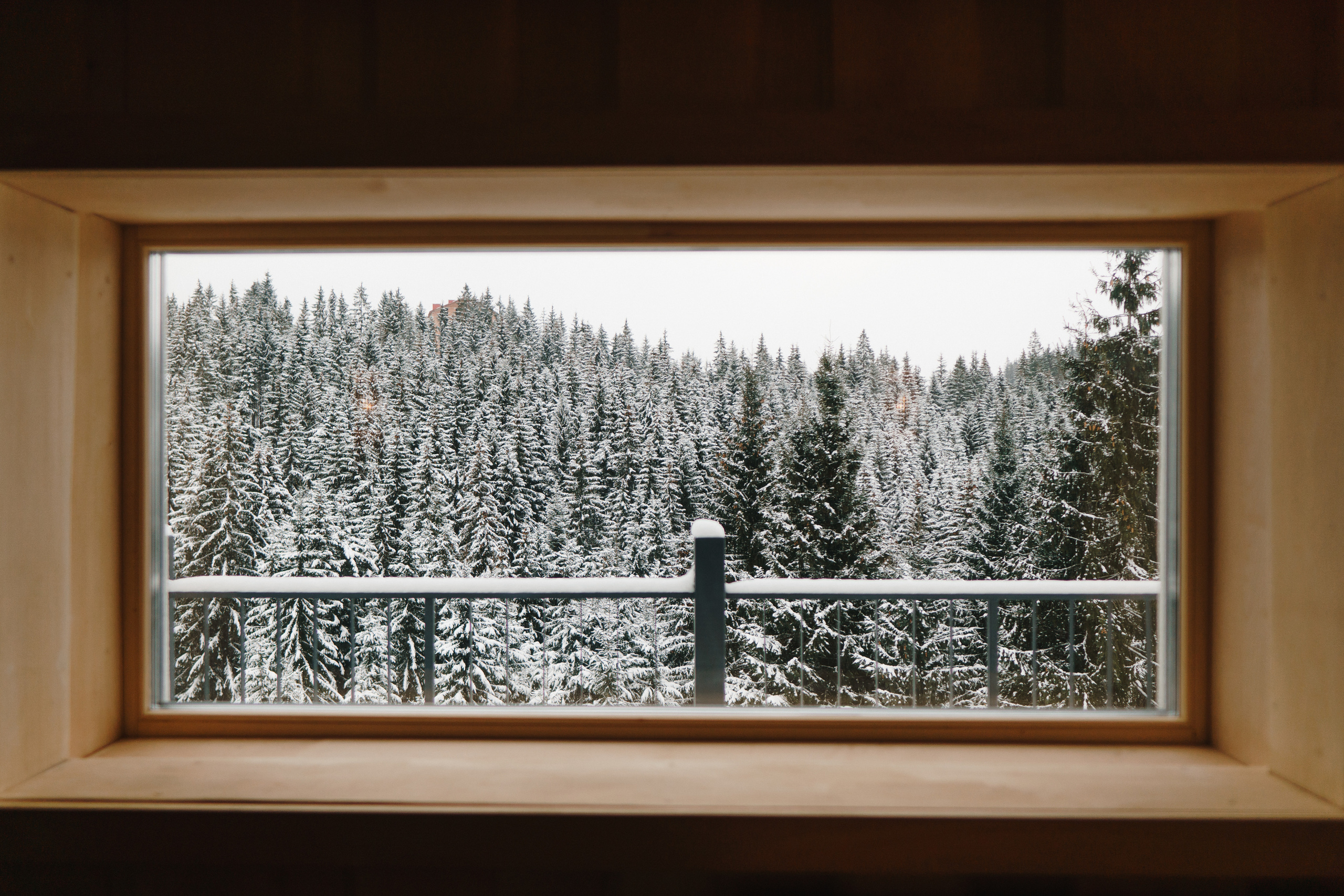 Chevalier Panorama ⏯. Фото • Відео • Аерозйомка • Контент для бізнесу