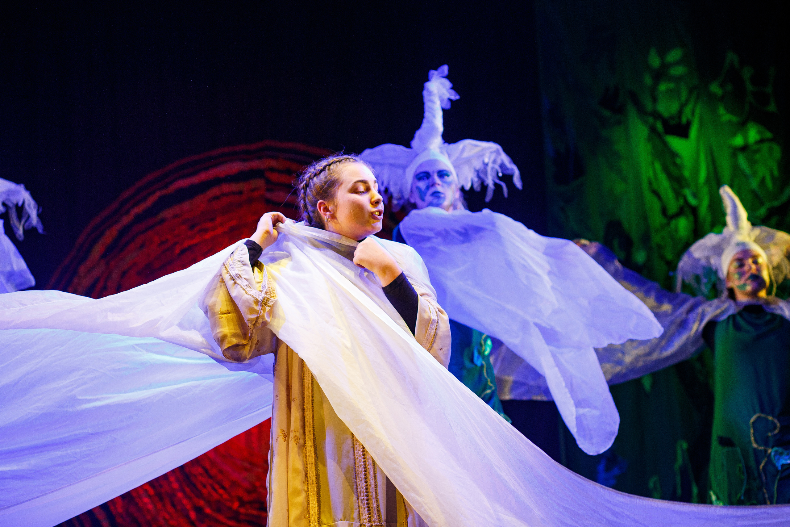 Театр «Сорванцы». Маугли. Photo • Video • Production • Aerial • Media Creation