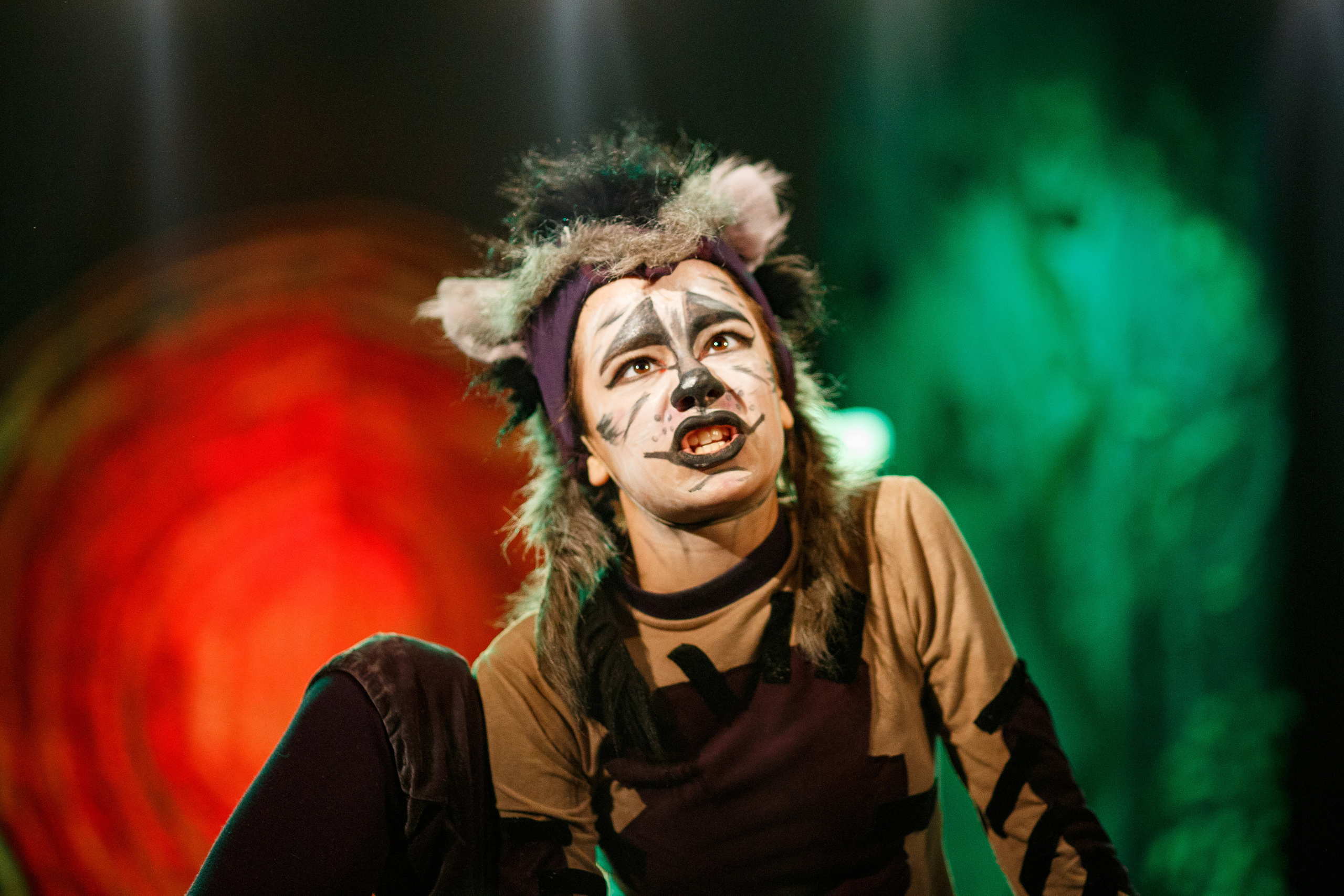 Театр «Сорванцы». Маугли. Photo • Video • Production • Aerial • Media Creation