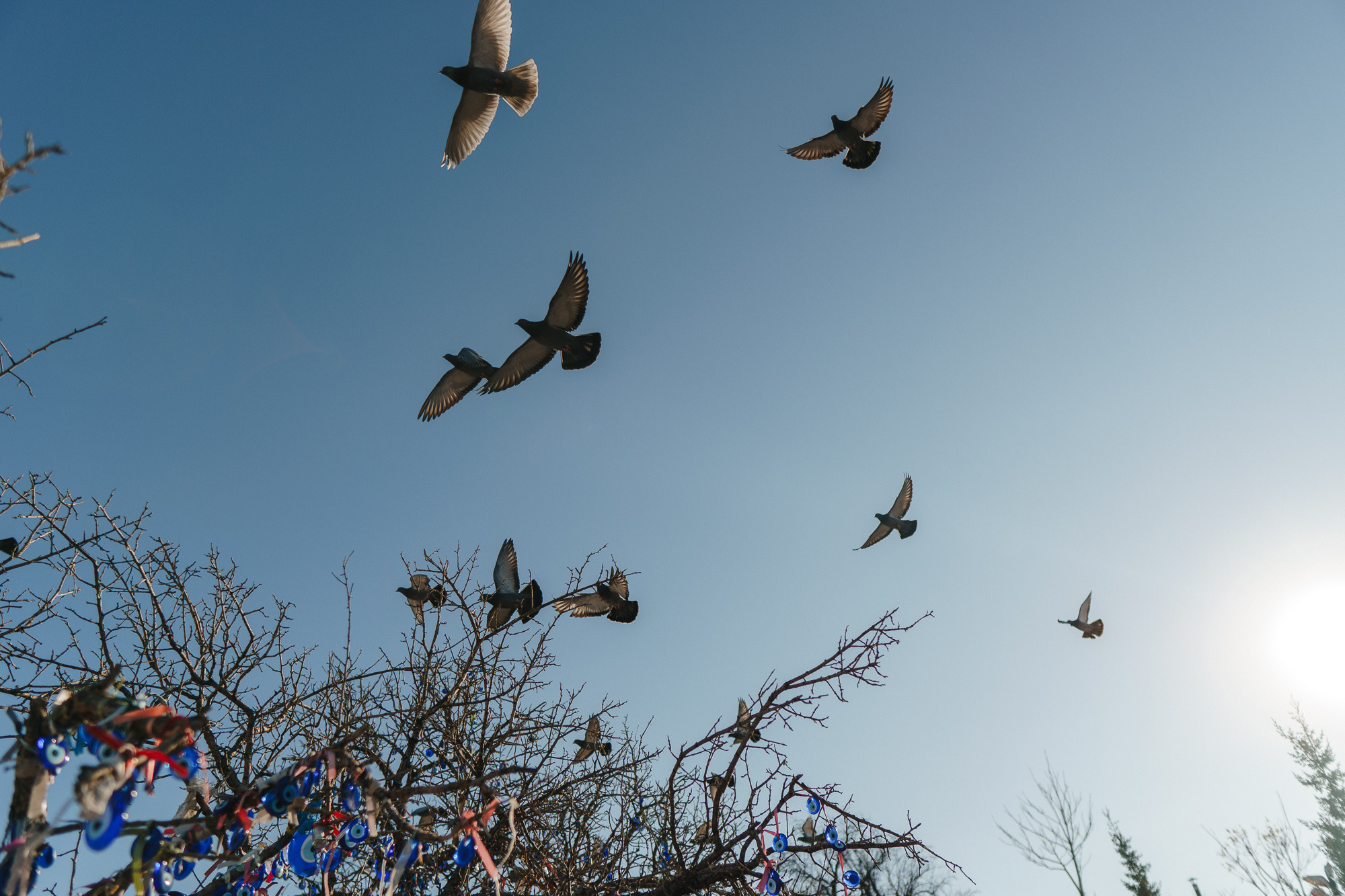 Стук Travel. Новый год в Каппадокии. Фото • Відео • Аерозйомка • Контент для бізнесу