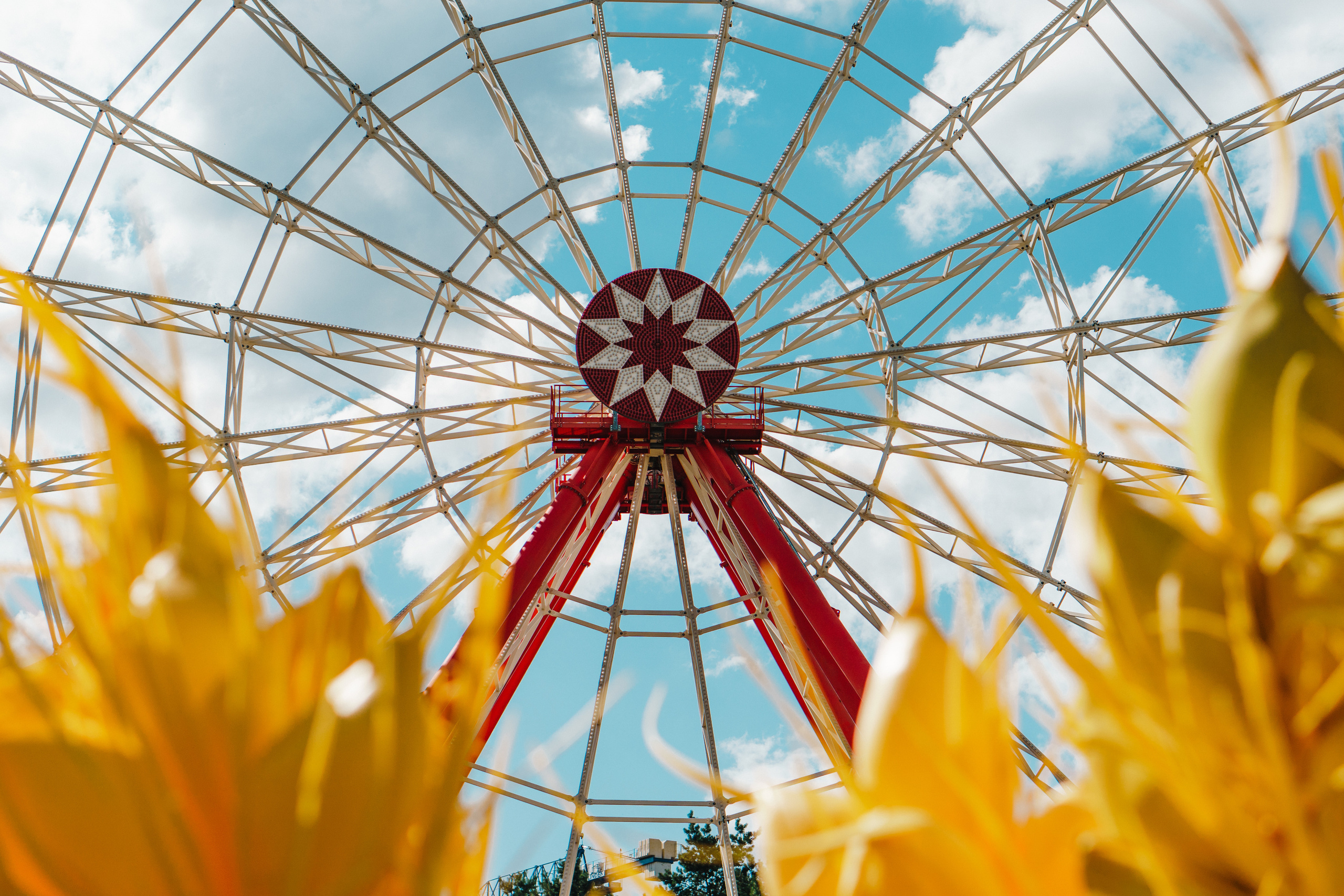 Ивана Купала в Центральном парке. Photo • Video • Production • Aerial • Media Creation