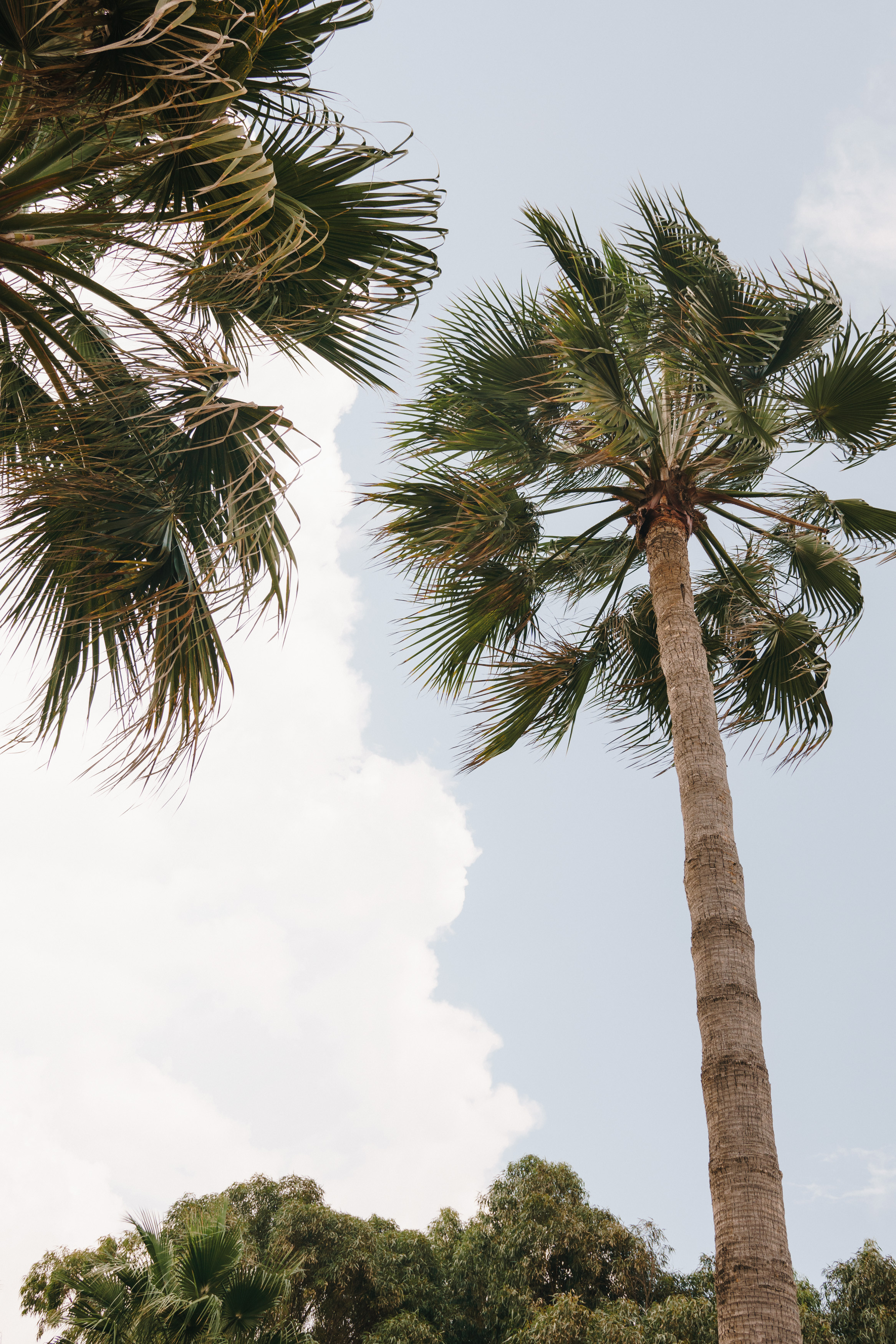 Стук Travel. Кипр, Айя-Напа, Nissi Beach. Photo • Video • Production • Aerial • Media Creation