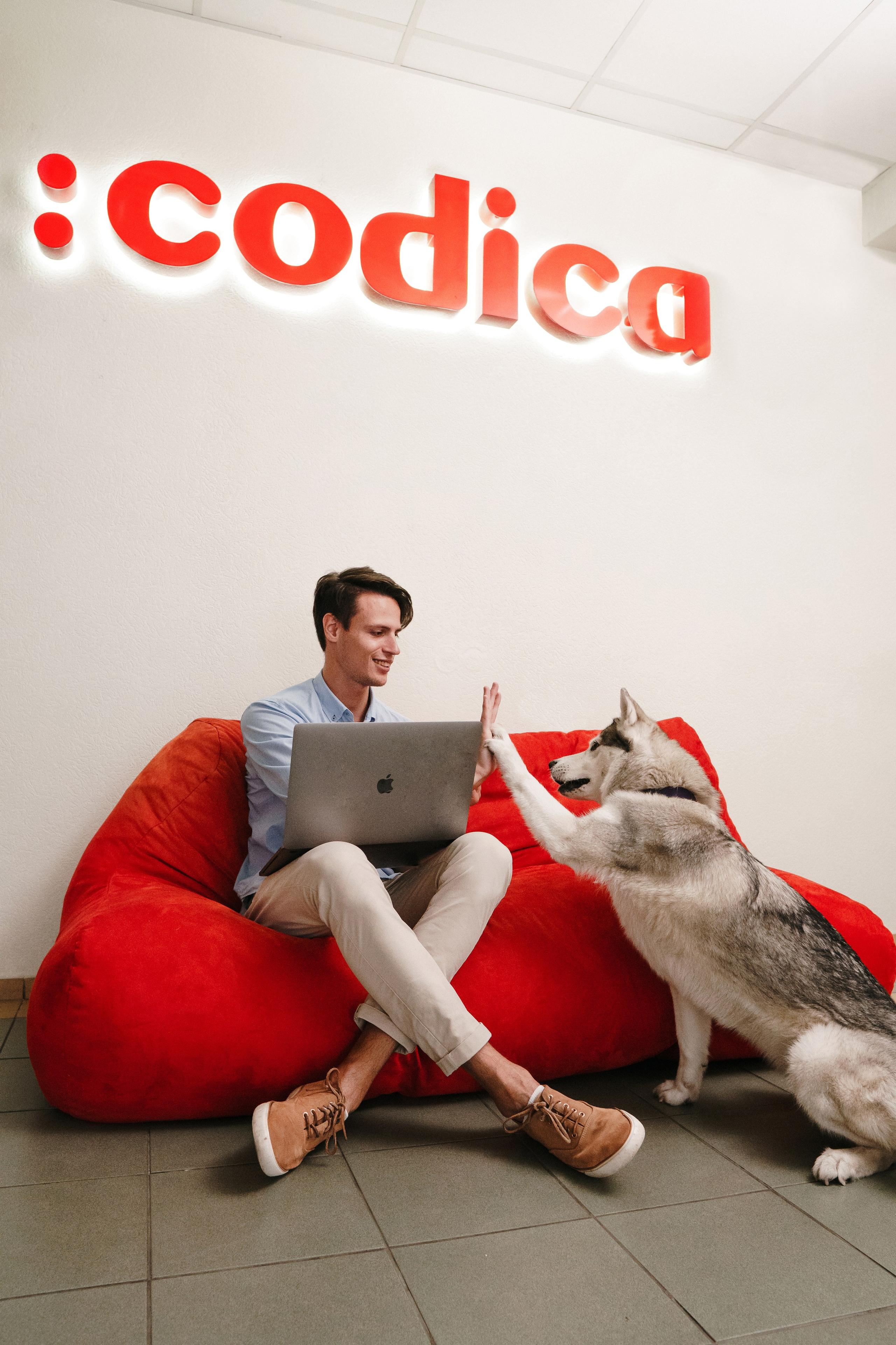 Codica. Фото • Відео • Аерозйомка • Контент для бізнесу