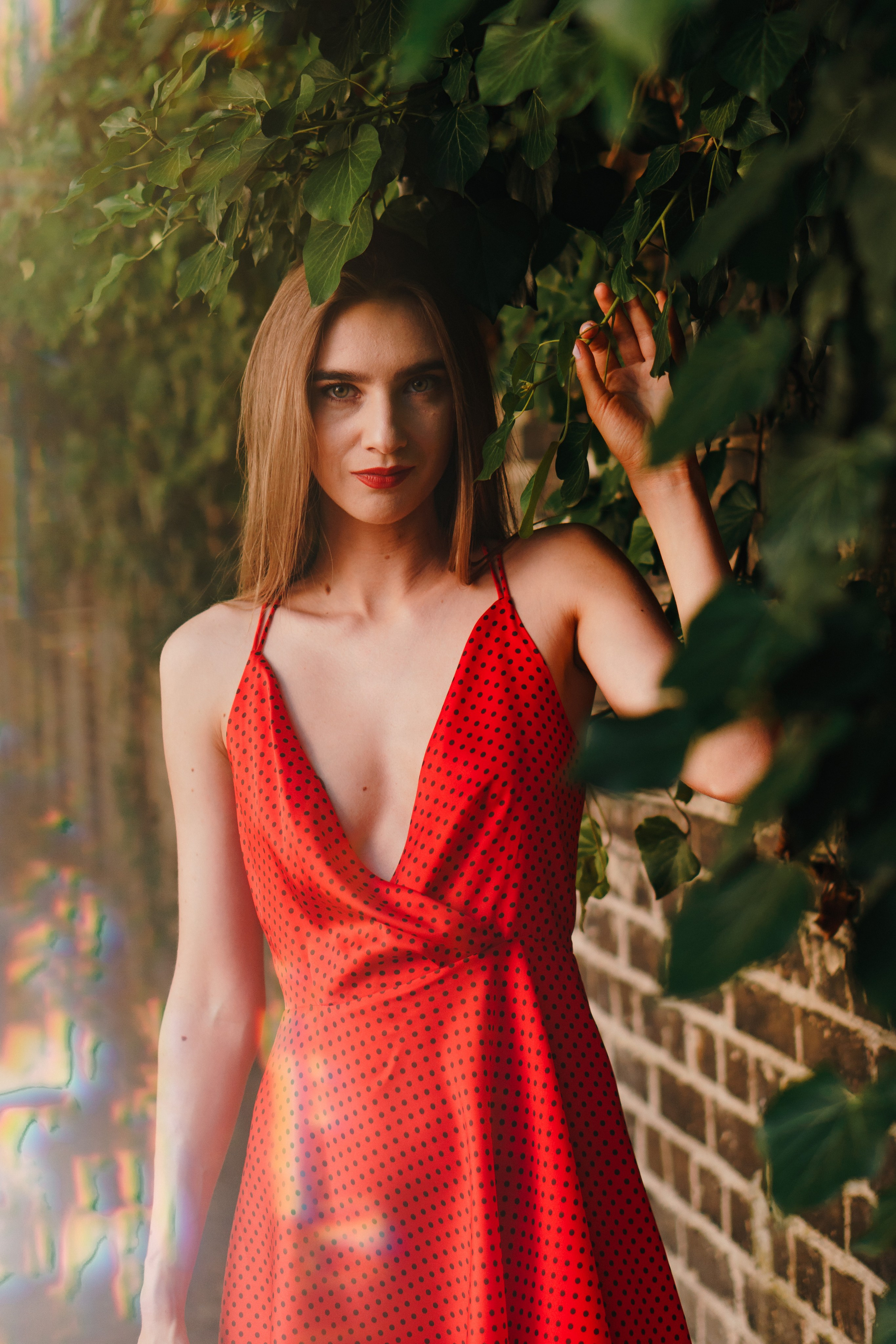 Daria. Foto • Video • Produktion • Luftbildaufnahmen • Erstellung von Medien