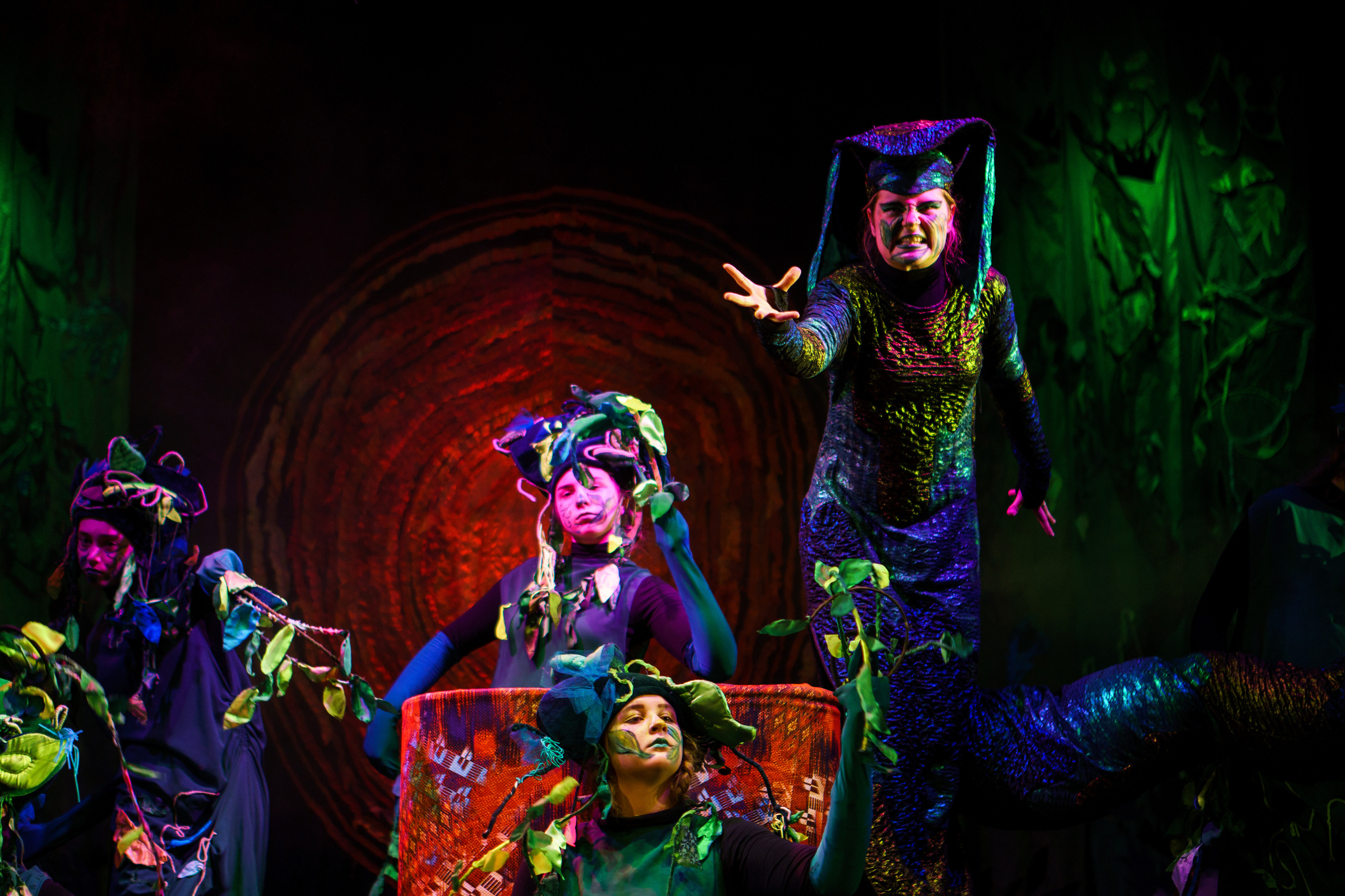 Театр «Сорванцы». Маугли. Photo • Video • Production • Aerial • Media Creation