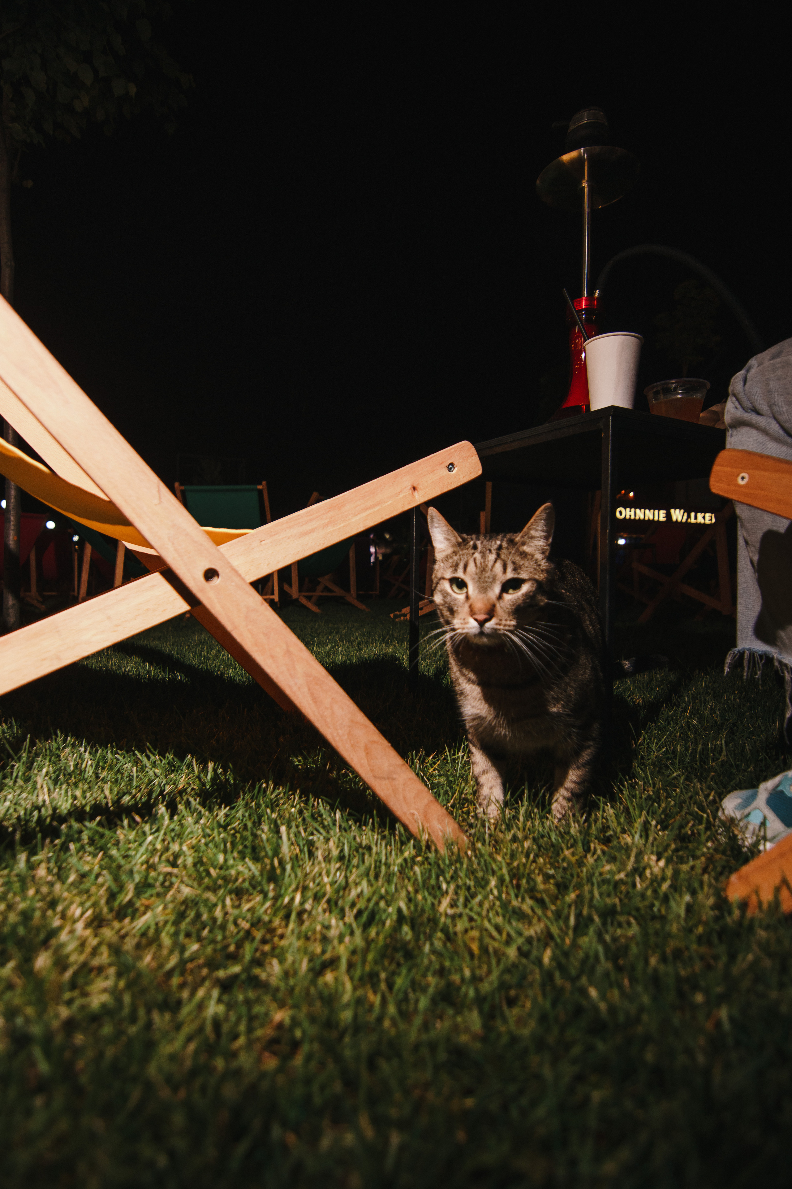 Фестиваль Поколение 90-х. День 2. Foto • Video • Produktion • Luftbildaufnahmen • Erstellung von Medien