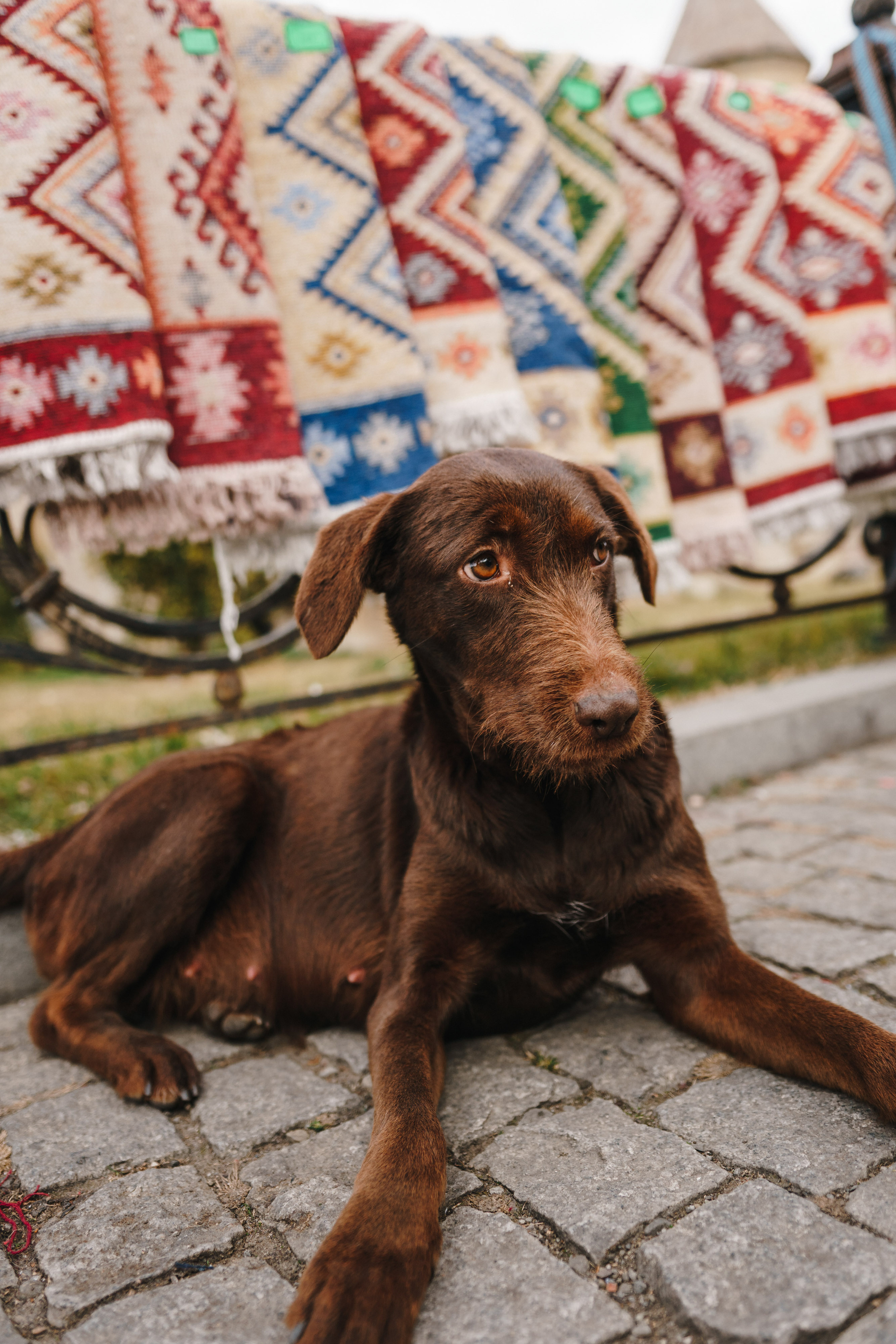 Стук Travel. Новый год в Грузии. Тбилиси, Боржоми. Photo • Video • Production • Aerial • Media Creation