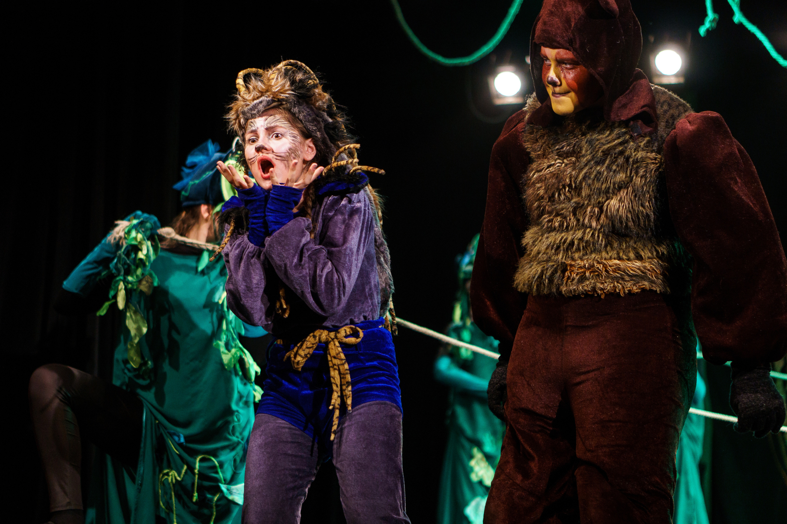 Театр «Сорванцы». Маугли. Photo • Video • Production • Aerial • Media Creation