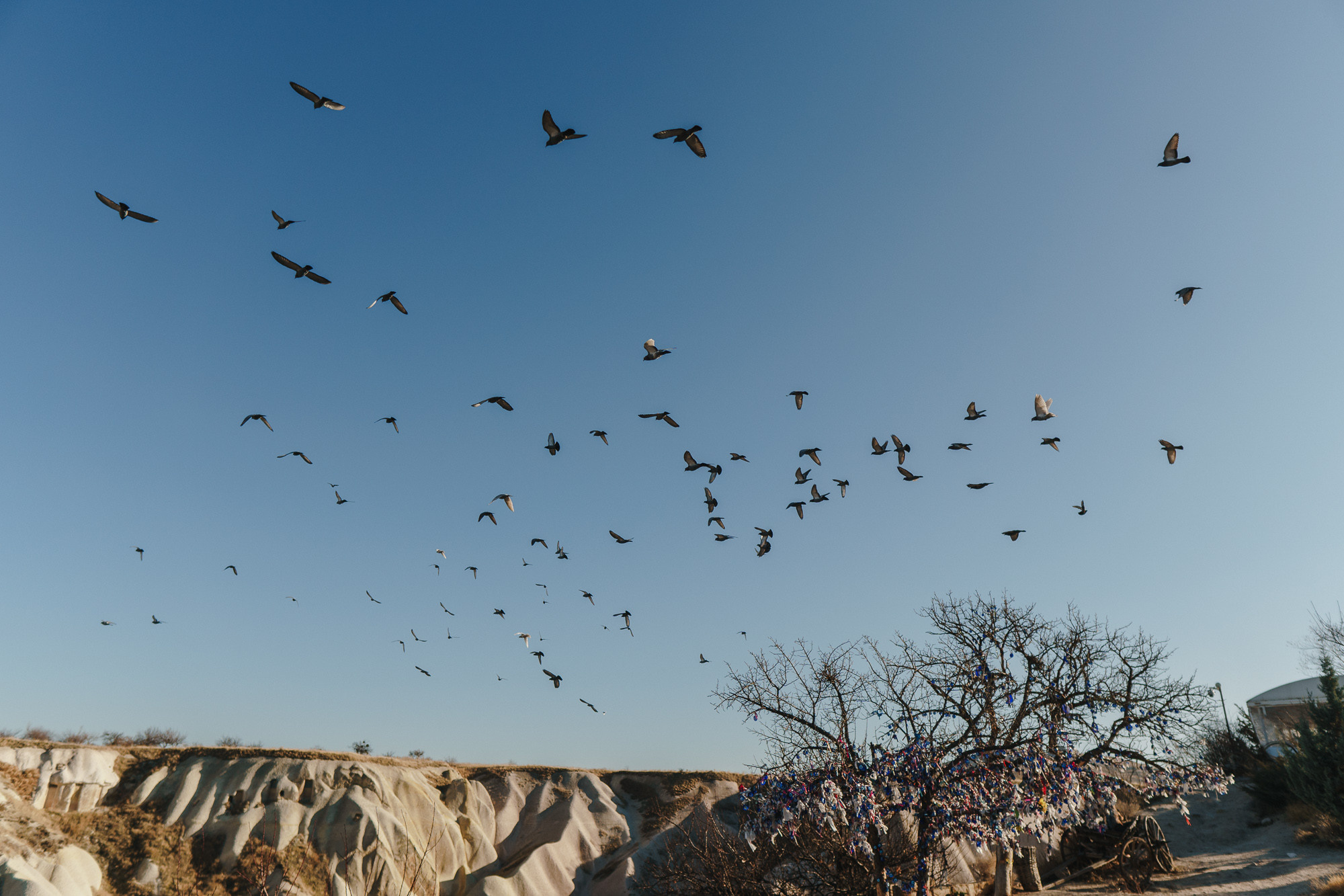 Стук Travel. Новый год в Каппадокии. Фото • Відео • Аерозйомка • Контент для бізнесу