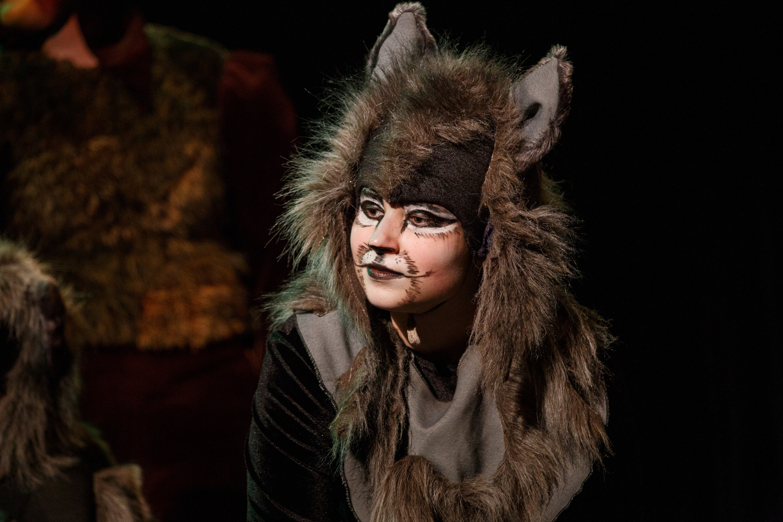 Театр «Сорванцы». Маугли. Photo • Video • Production • Aerial • Media Creation