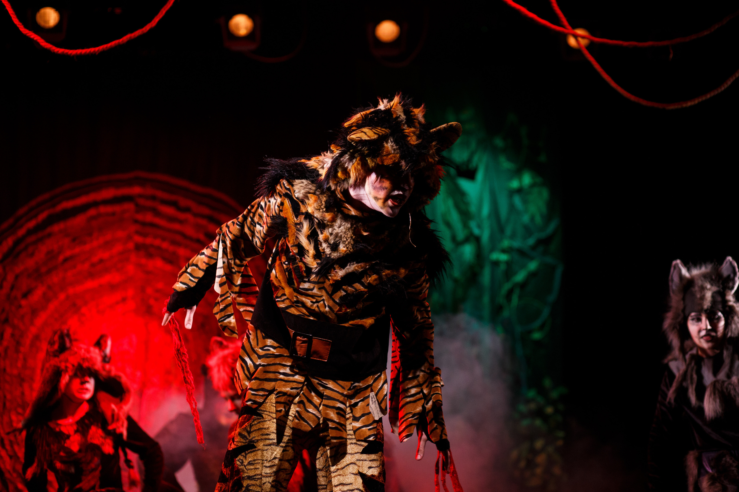 Театр «Сорванцы». Маугли. Photo • Video • Production • Aerial • Media Creation