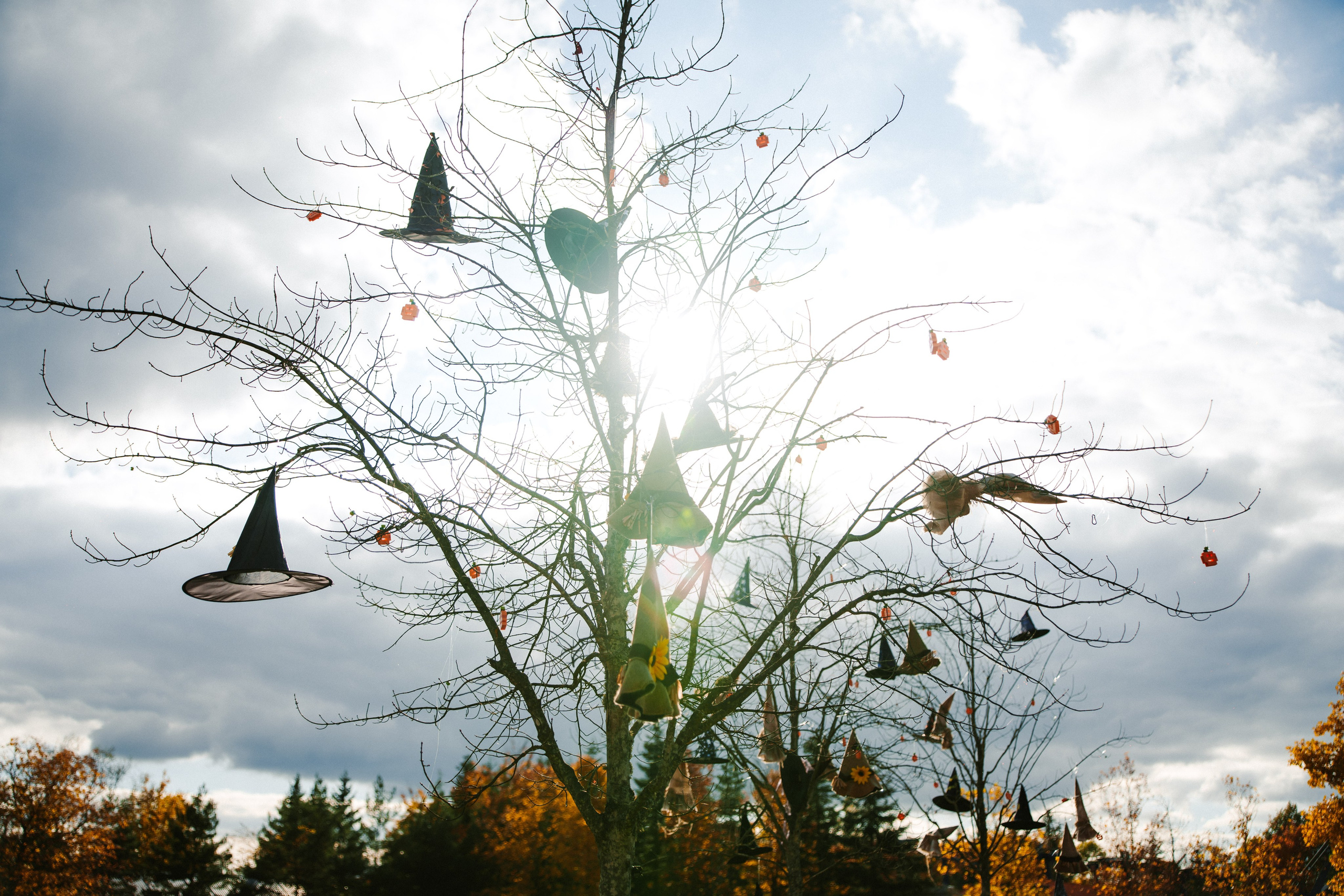 LEGOLAND Halloween 2025. Фото • Відео • Аерозйомка • Контент для бізнесу