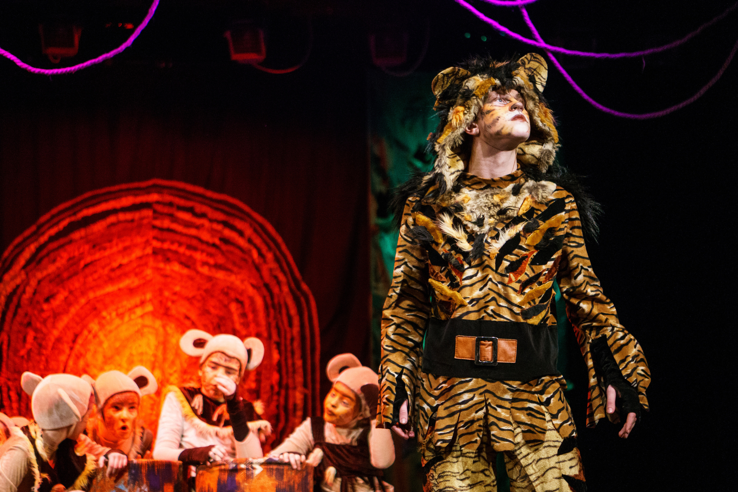 Театр «Сорванцы». Маугли. Photo • Video • Production • Aerial • Media Creation