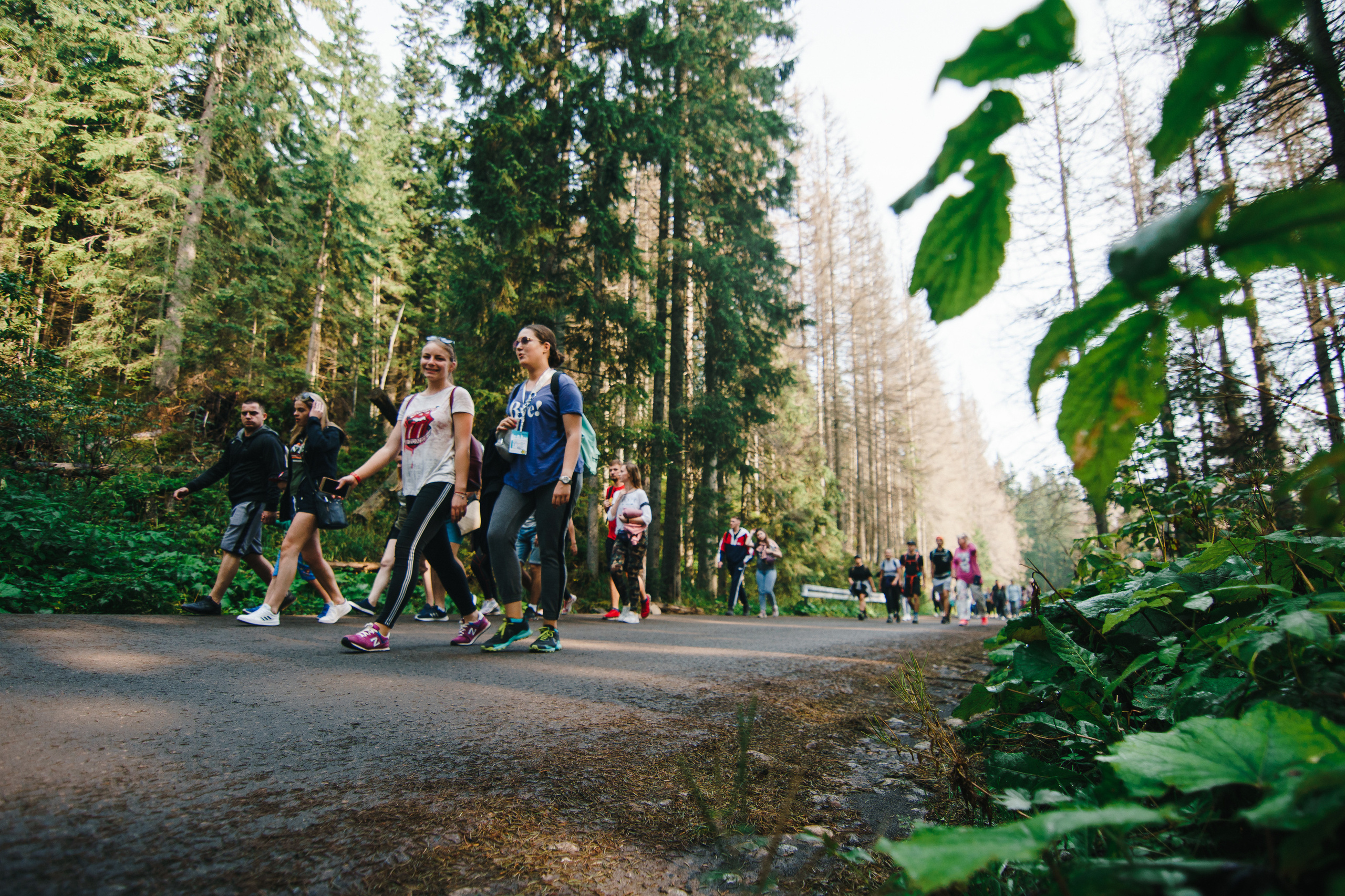 Стук Travel. Краков и Морське Око. Photo • Video • Production • Aerial • Media Creation