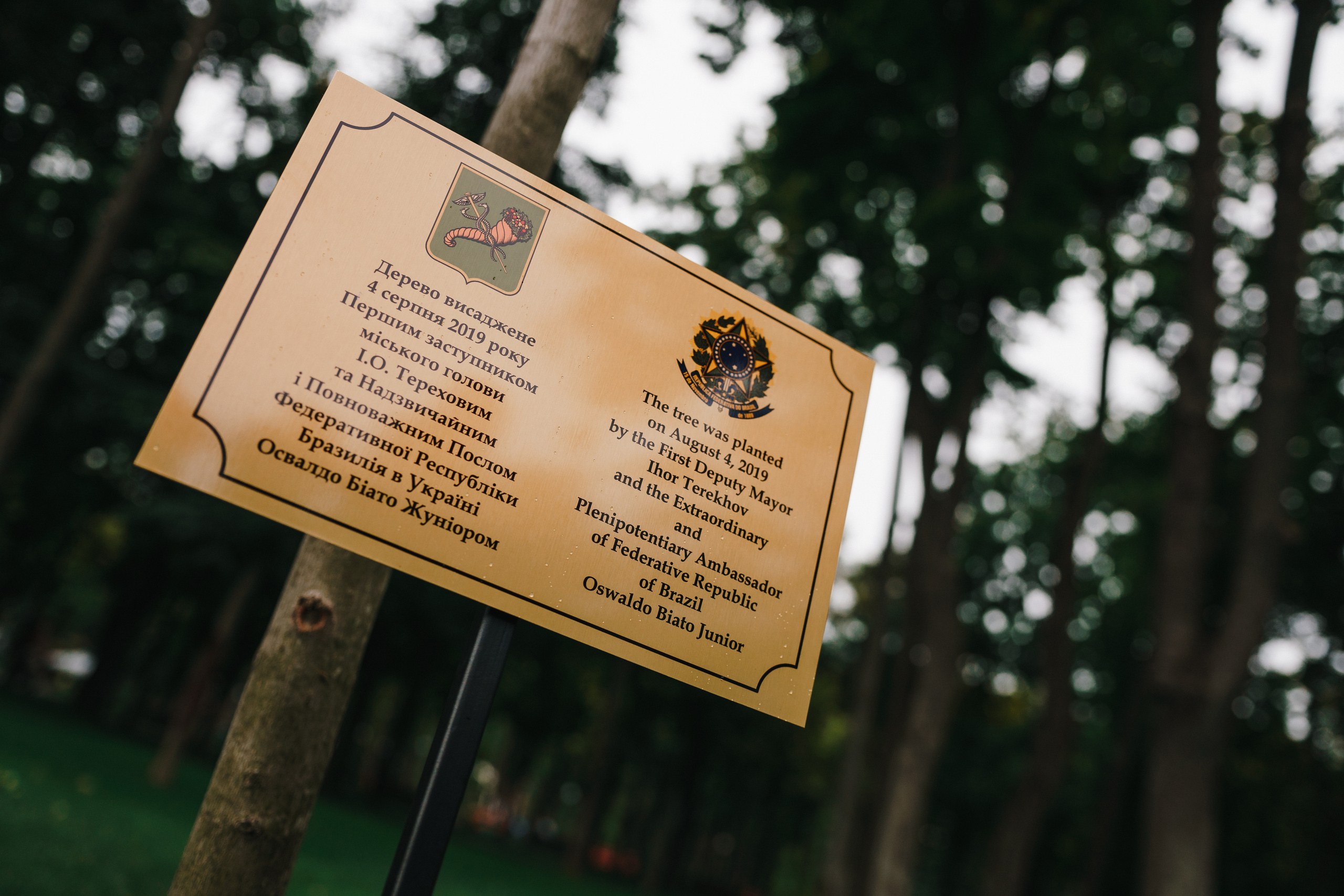 Дни Бразилии в Центральном парке. Foto • Video • Produktion • Luftbildaufnahmen • Erstellung von Medien