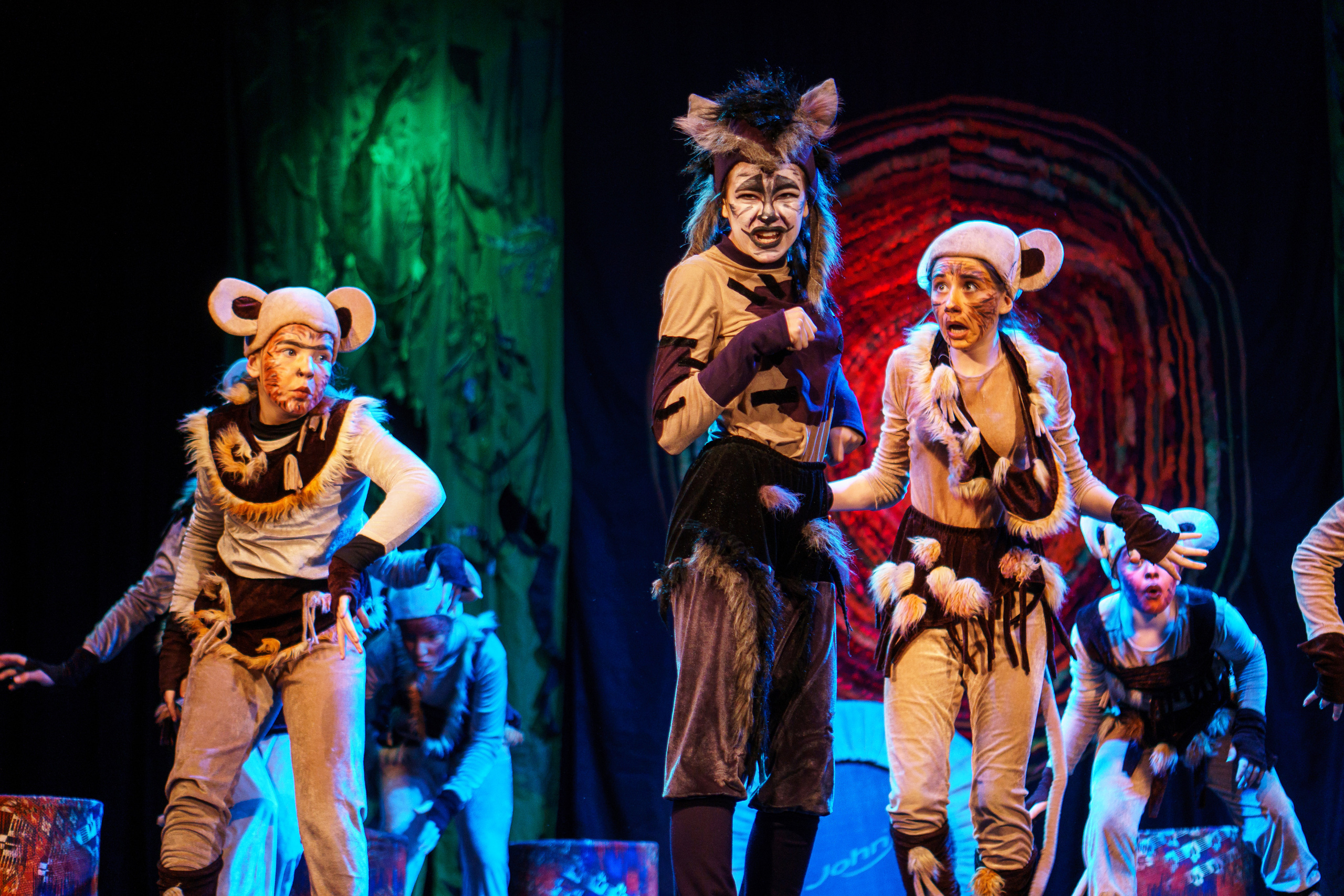 Театр «Сорванцы». Маугли. Photo • Video • Production • Aerial • Media Creation