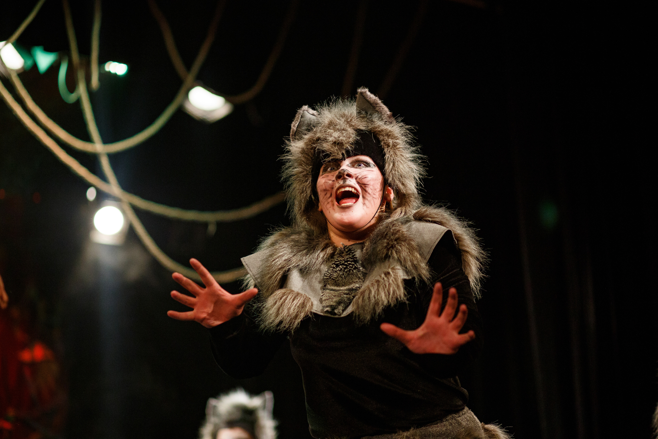 Театр «Сорванцы». Маугли. Photo • Video • Production • Aerial • Media Creation