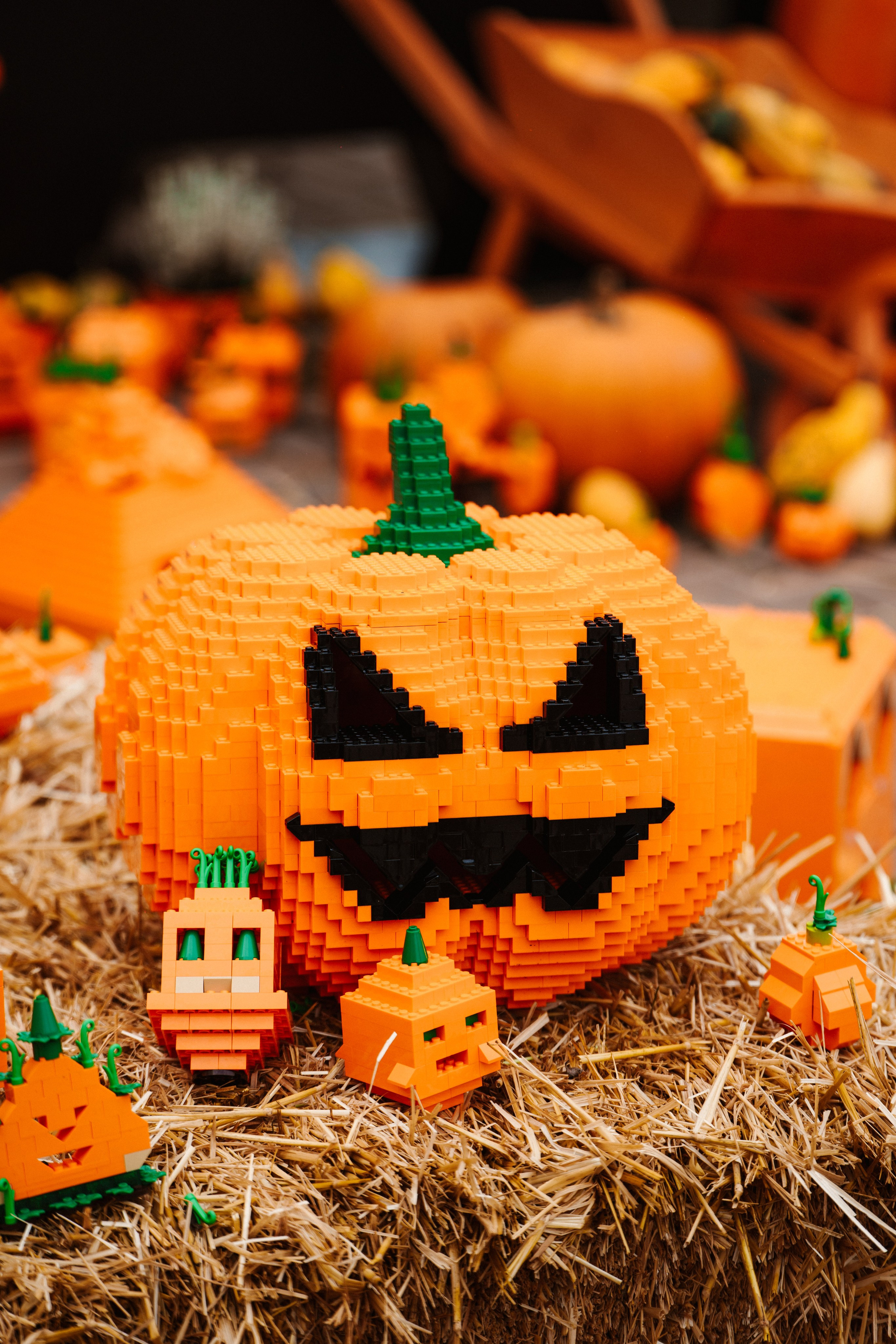 LEGOLAND Halloween 2025. Фото • Відео • Аерозйомка • Контент для бізнесу
