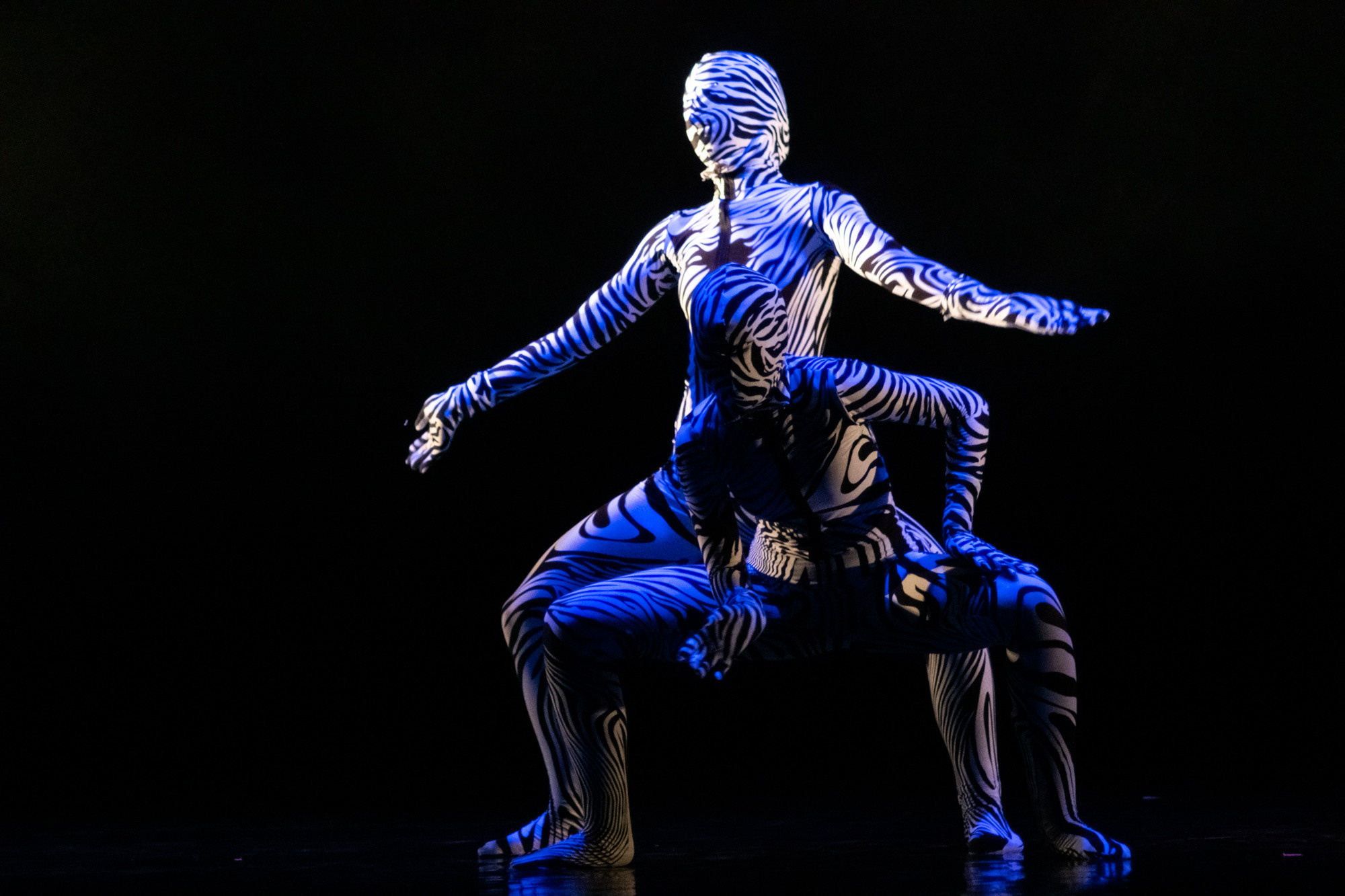 Лена Пуль. Алиса. Фото • Видео • Аэросъемка • Контент для бизнеса