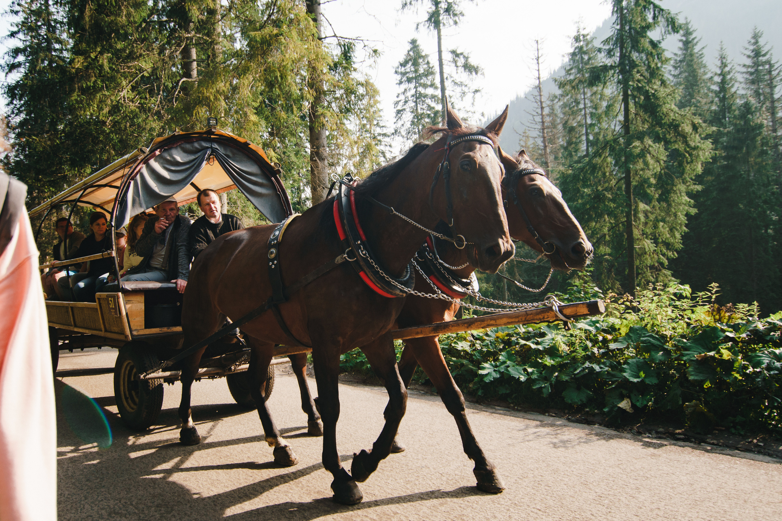 Стук Travel. Краков и Морське Око. Photo • Video • Production • Aerial • Media Creation