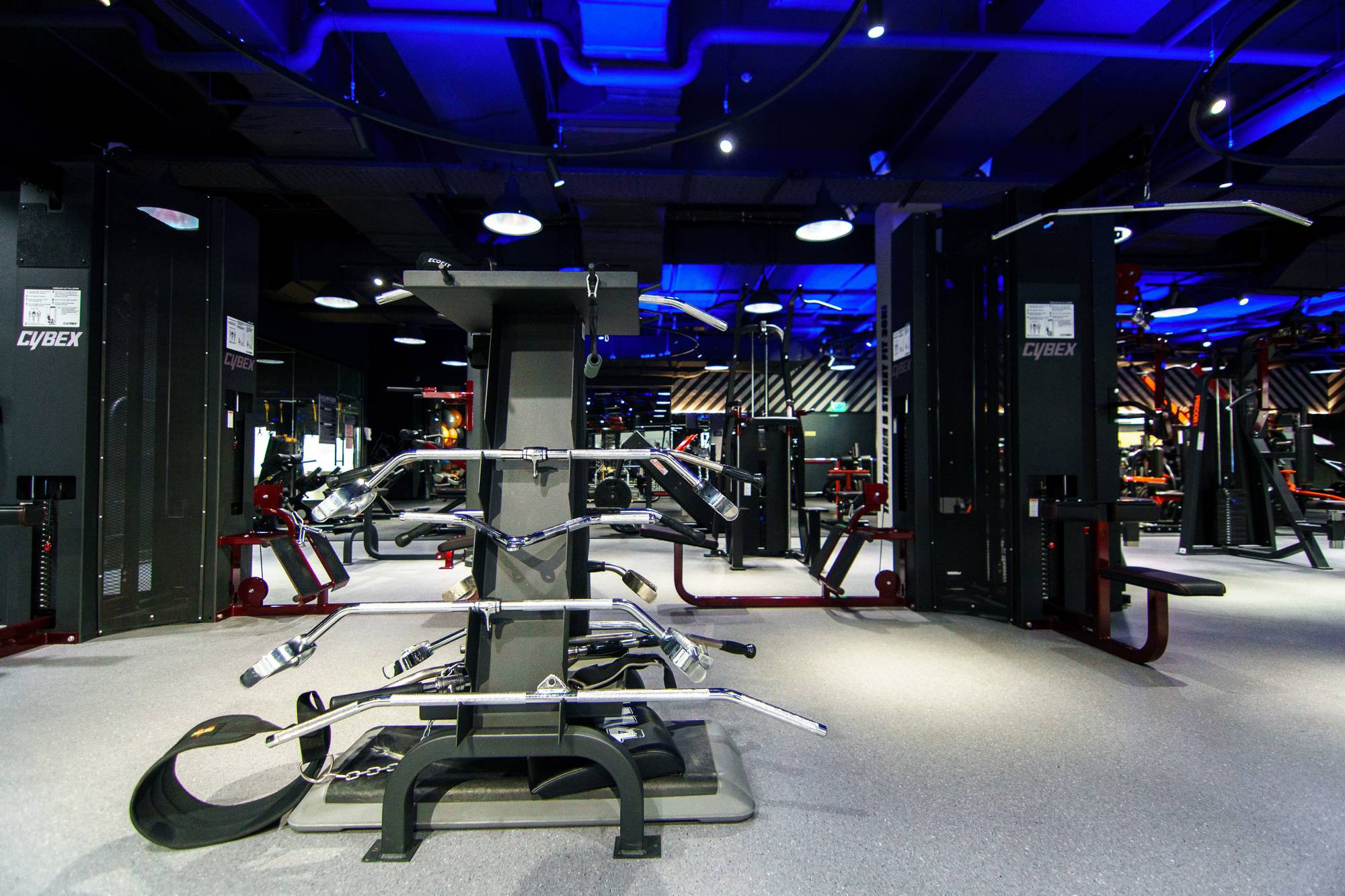 Sport Life ⏯. Foto • Video • Produktion • Luftbildaufnahmen • Erstellung von Medien