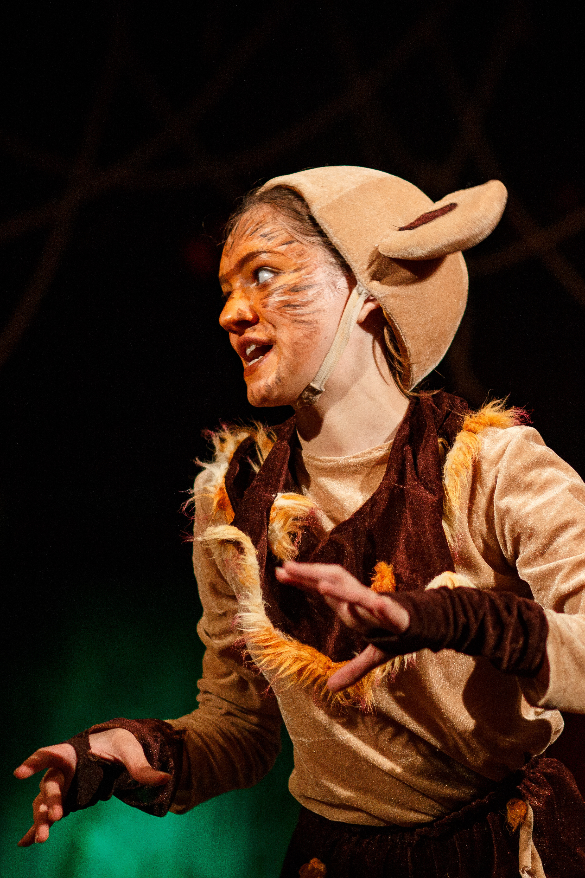 Театр «Сорванцы». Маугли. Photo • Video • Production • Aerial • Media Creation