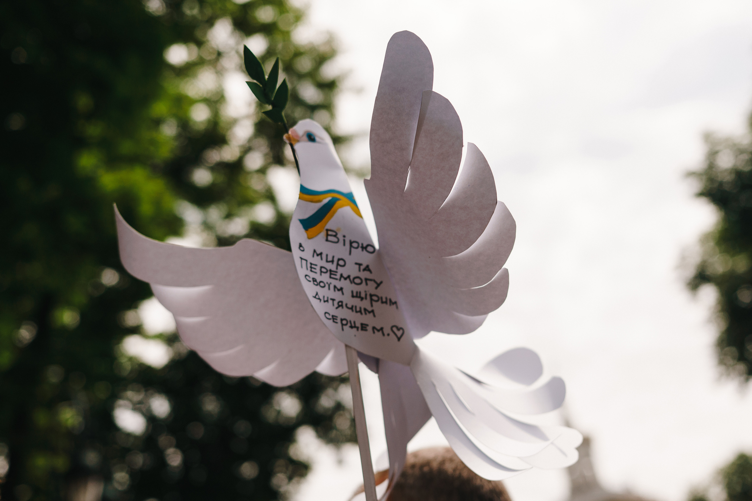 День защиты детей в Центральном парке. Foto • Video • Produktion • Luftbildaufnahmen • Erstellung von Medien